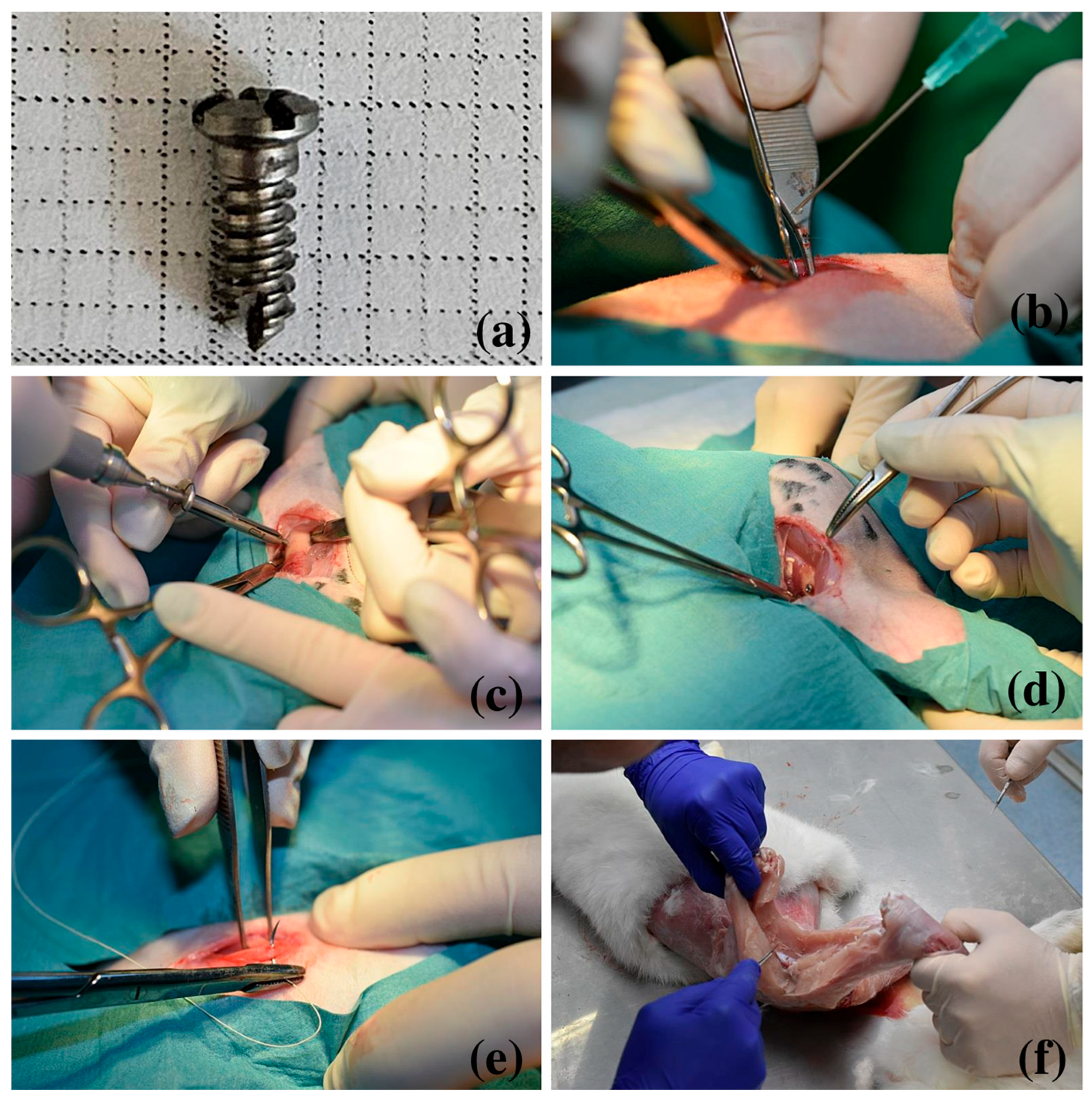 Medicina 62 00072 g001