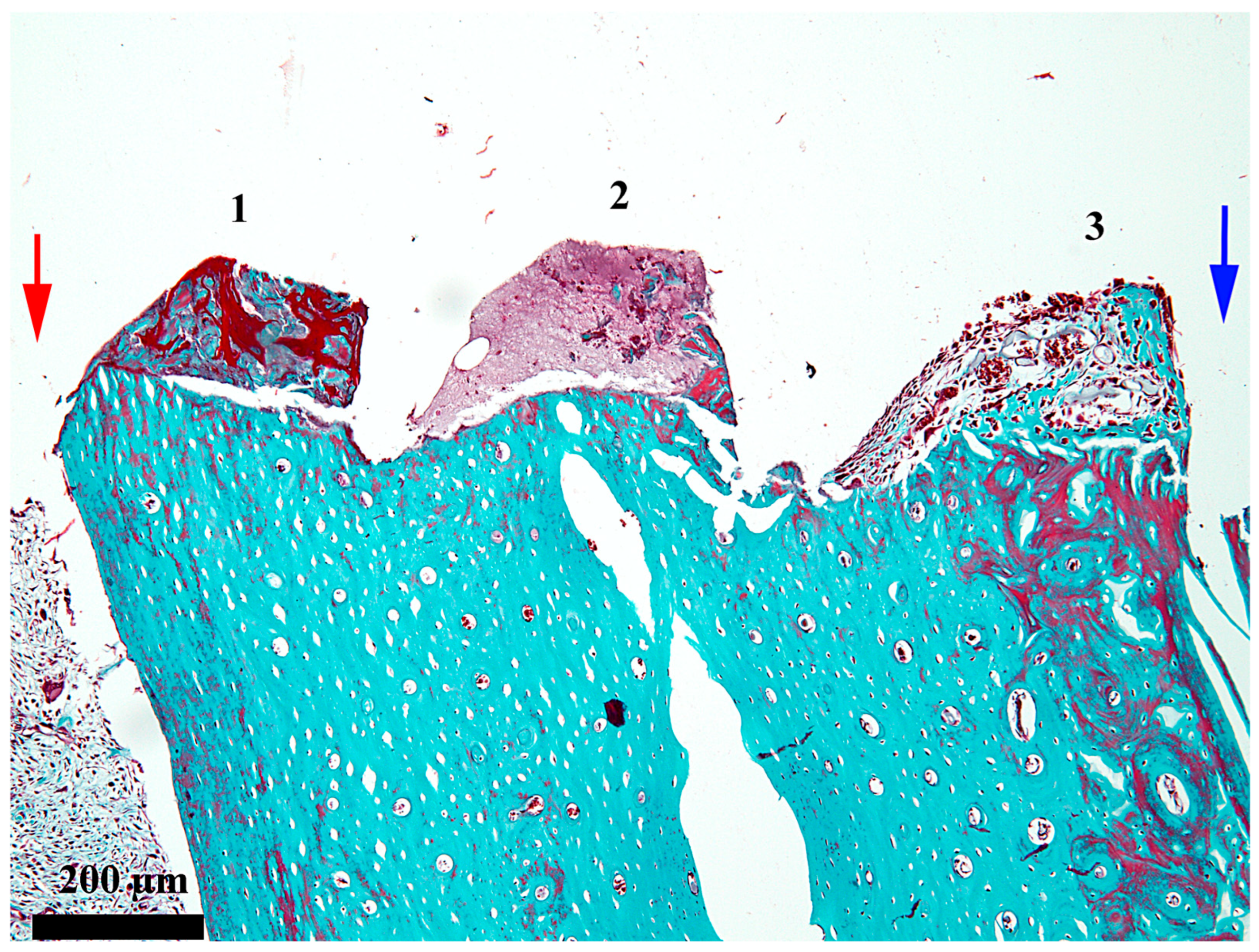 Medicina 62 00072 g002