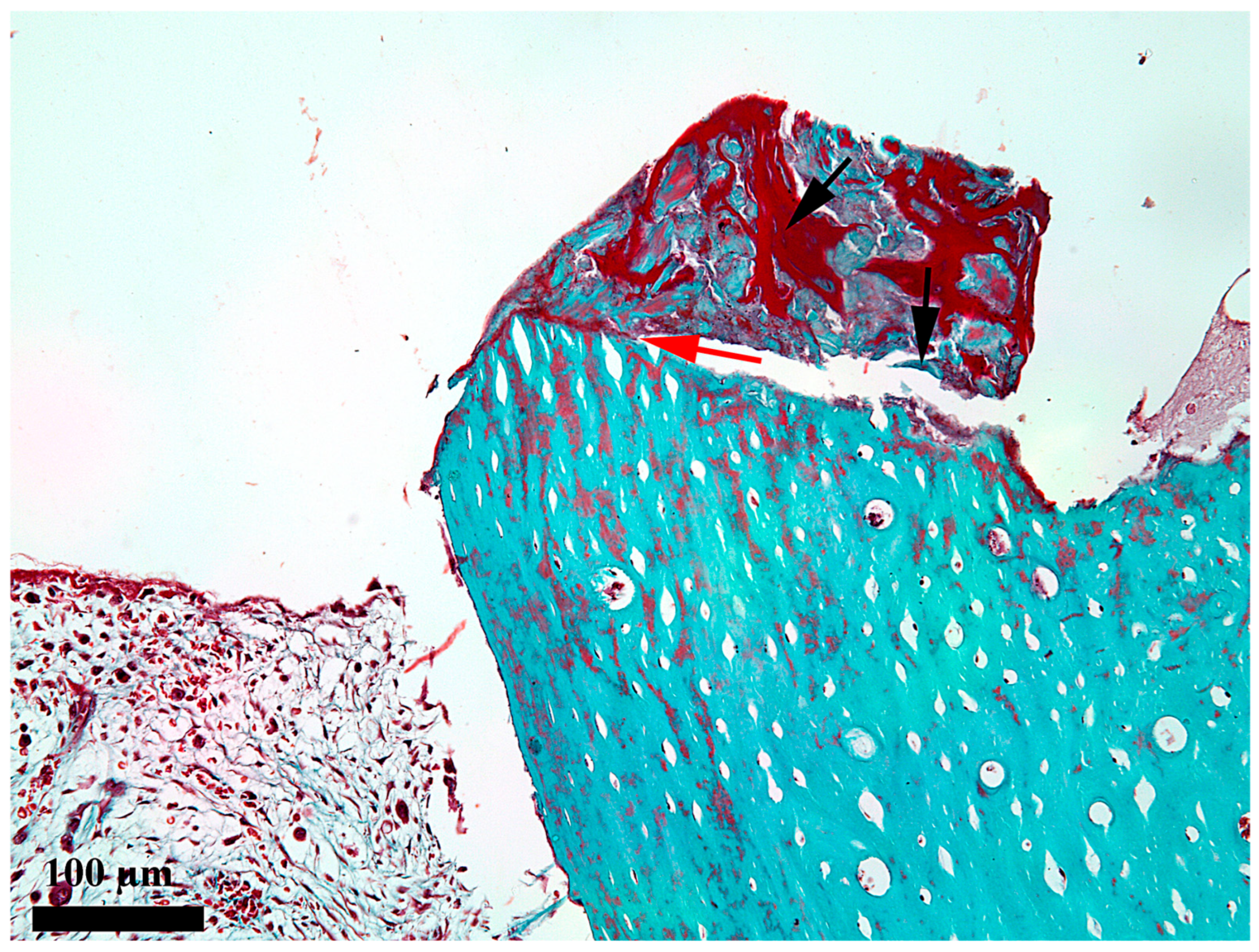 Medicina 62 00072 g003