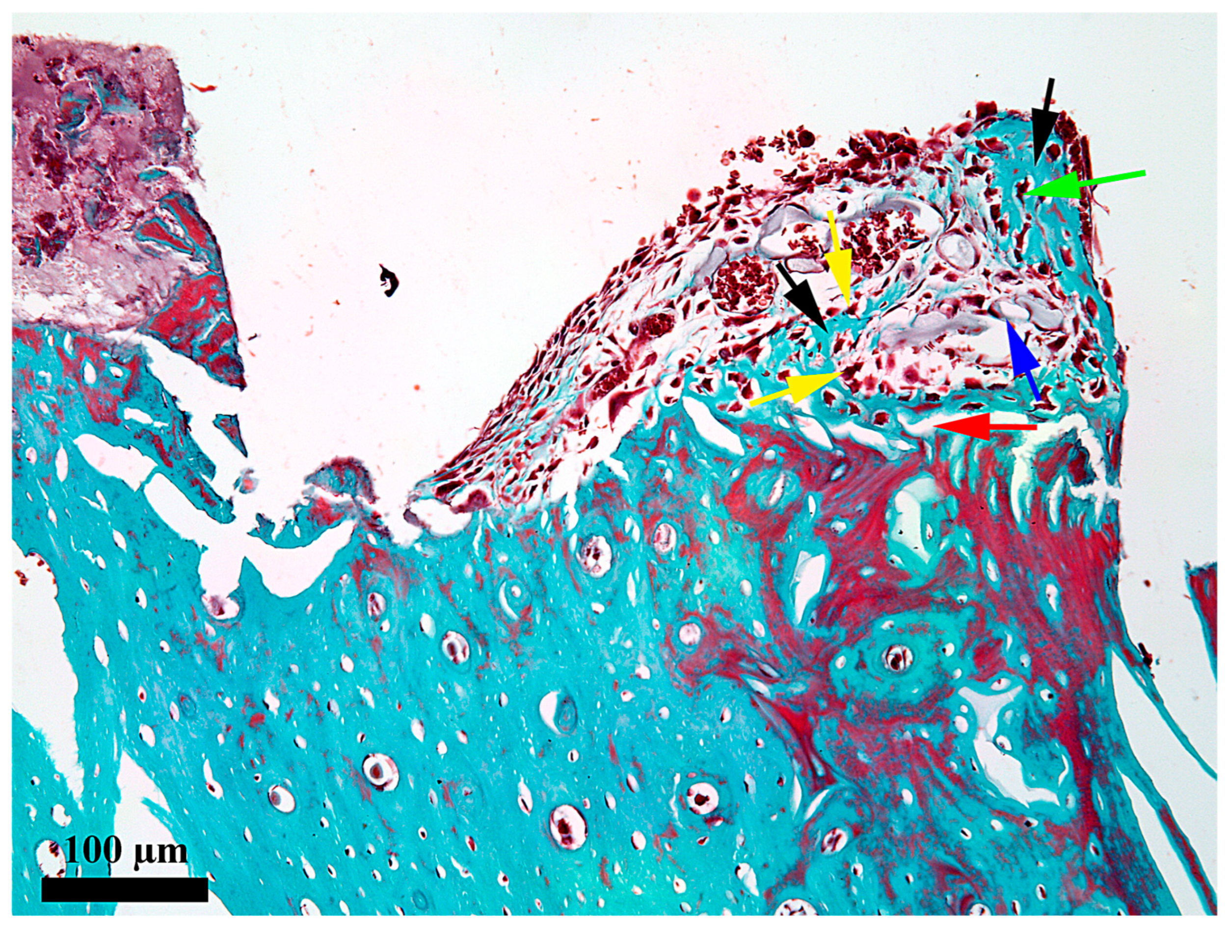 Medicina 62 00072 g005