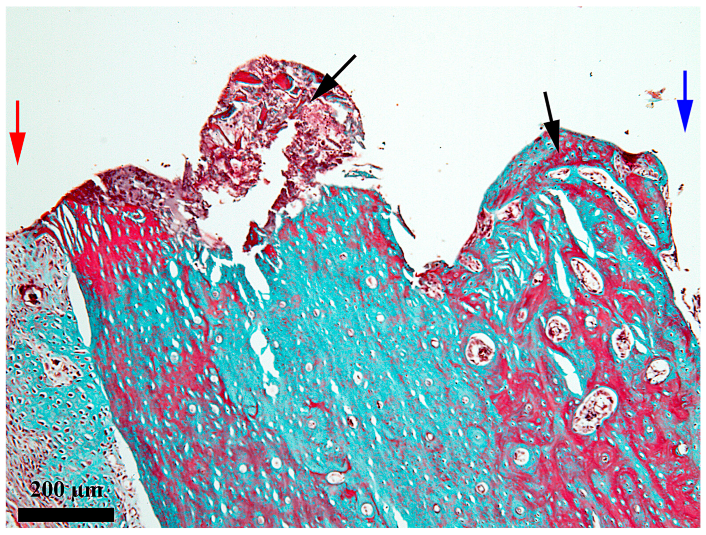 Medicina 62 00072 g006