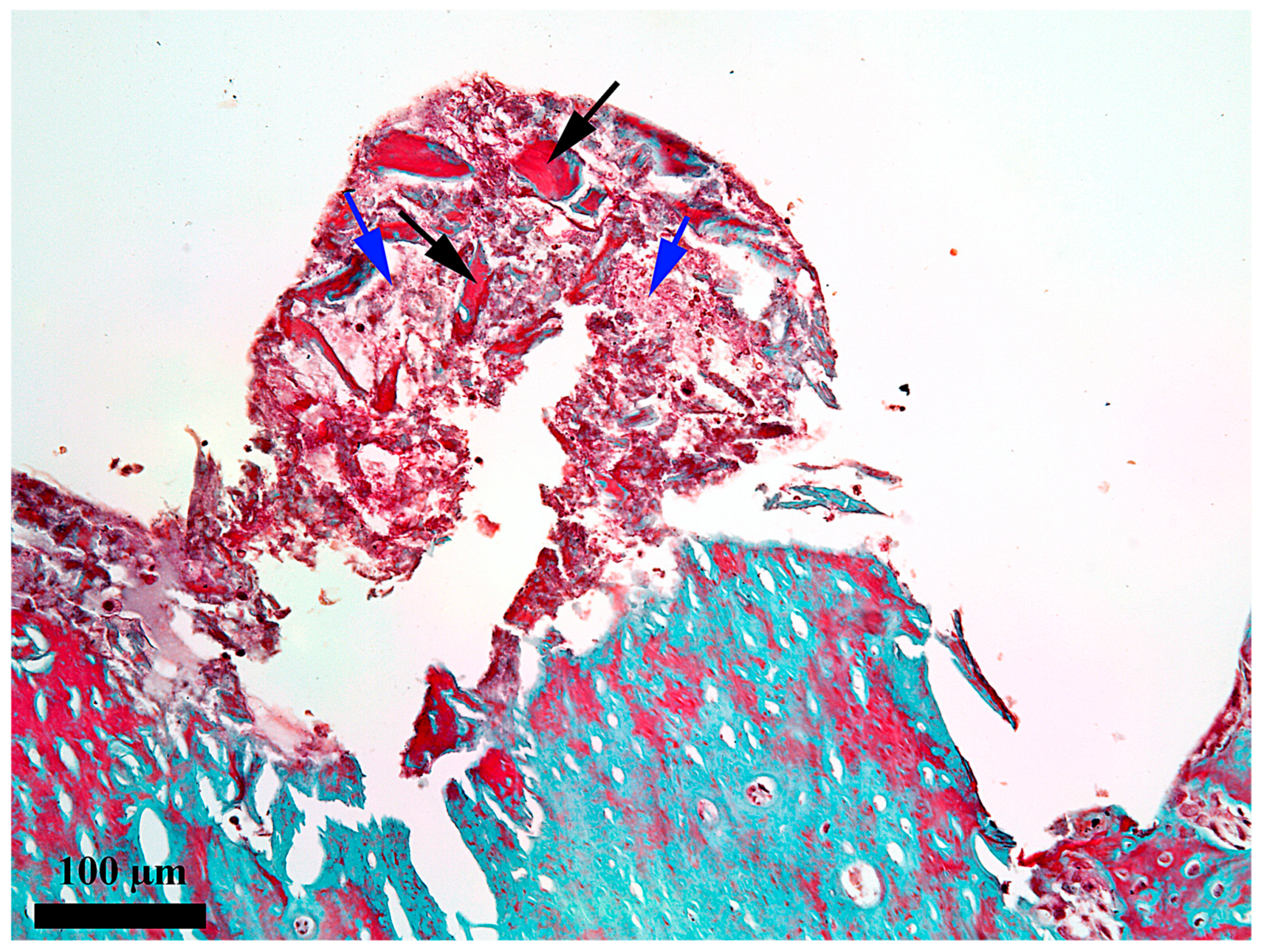 Medicina 62 00072 g007