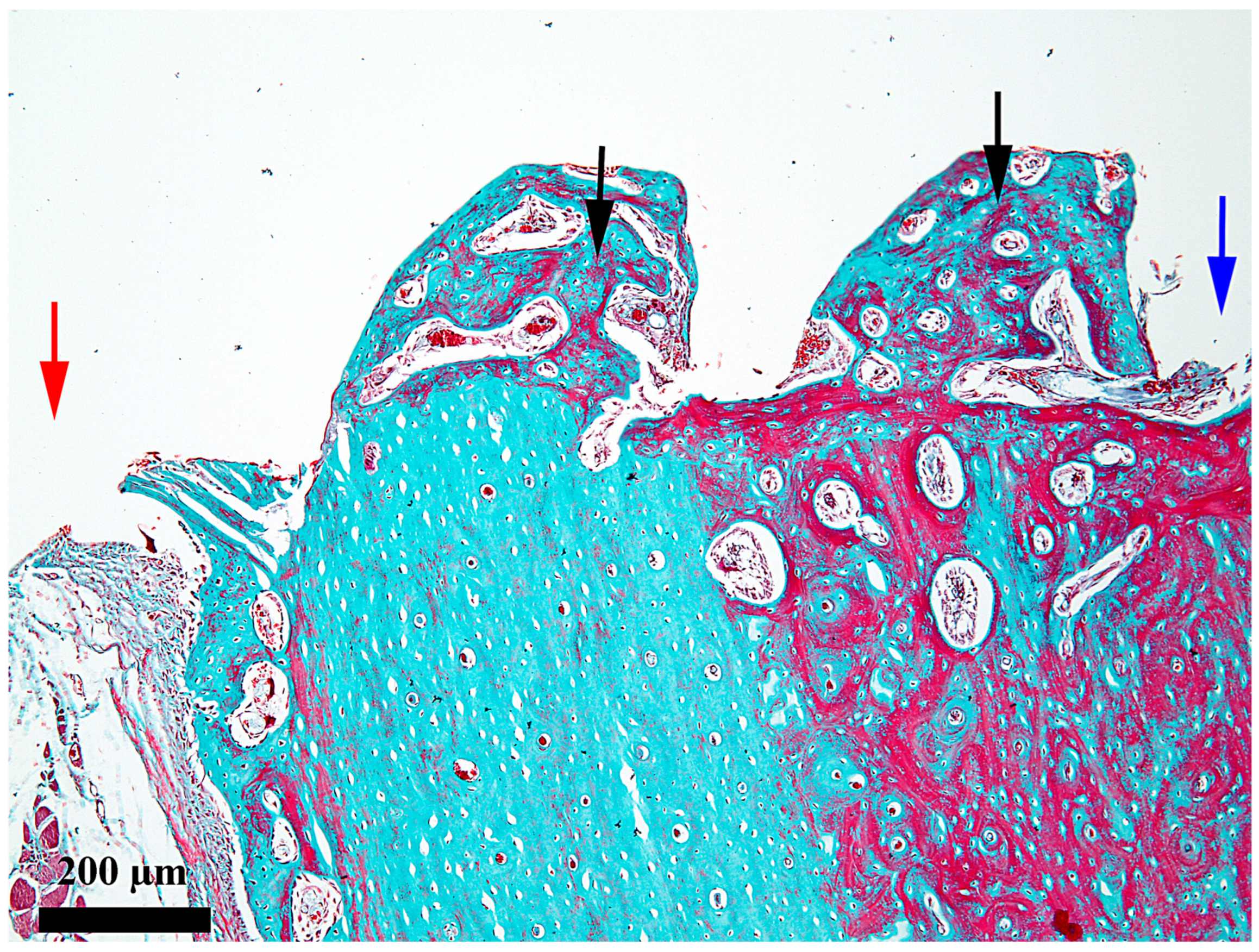 Medicina 62 00072 g009