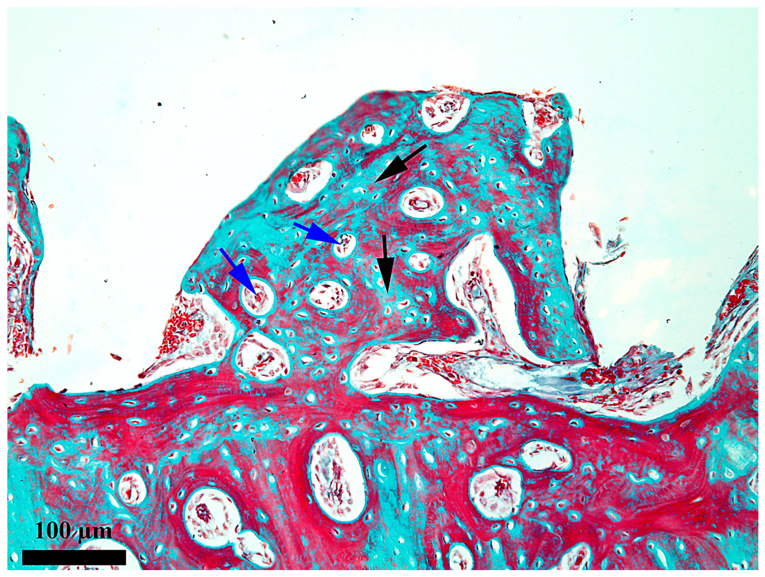 Medicina 62 00072 g010
