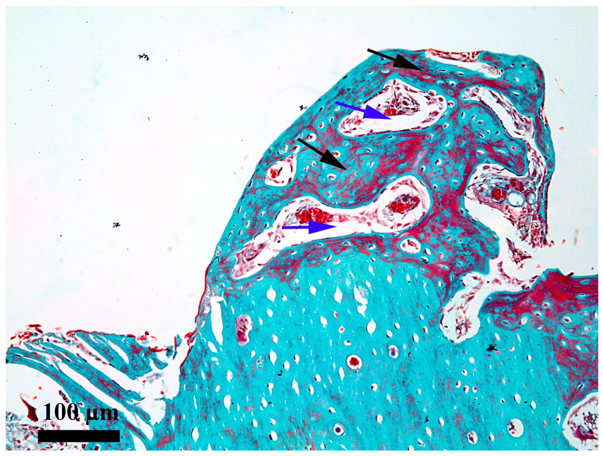 Medicina 62 00072 g011