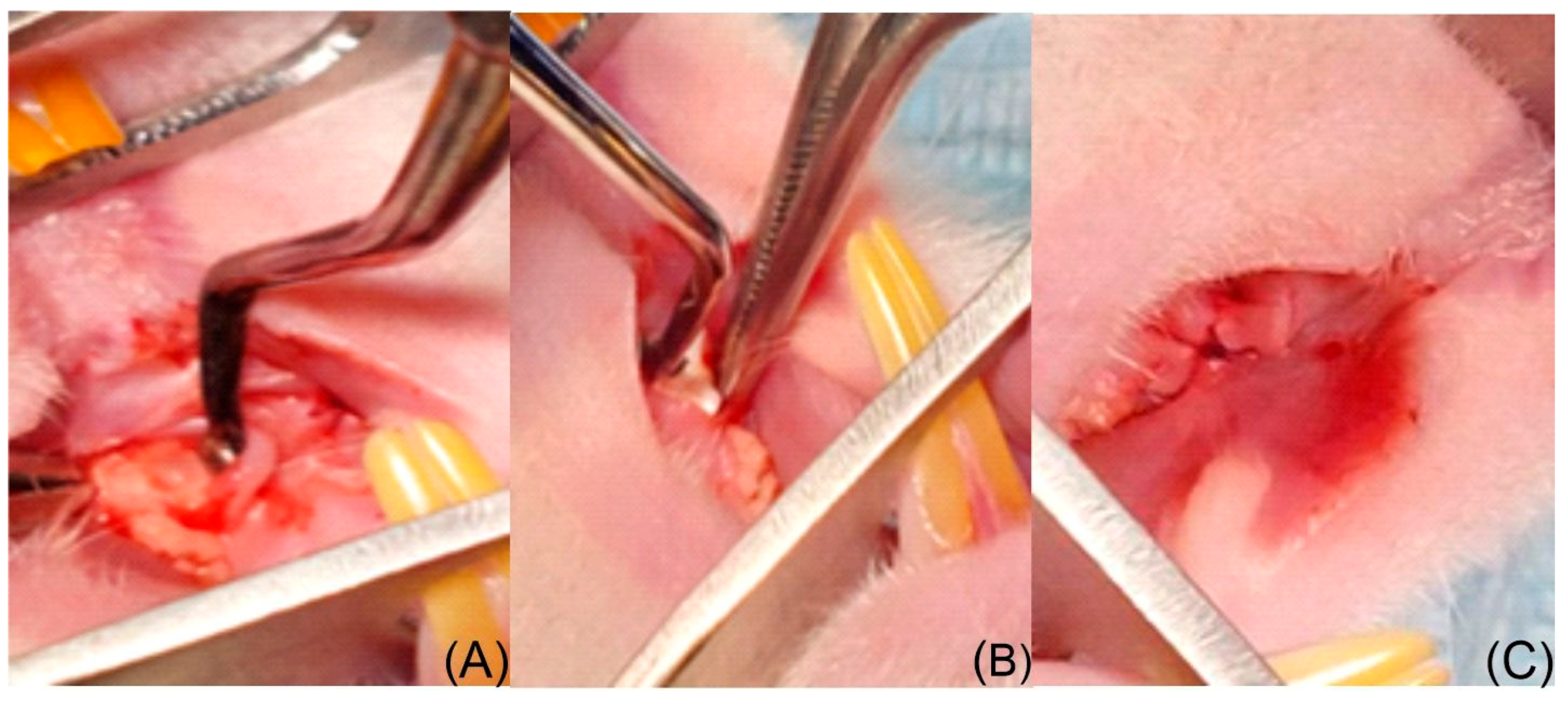 Medicina 62 00073 g002