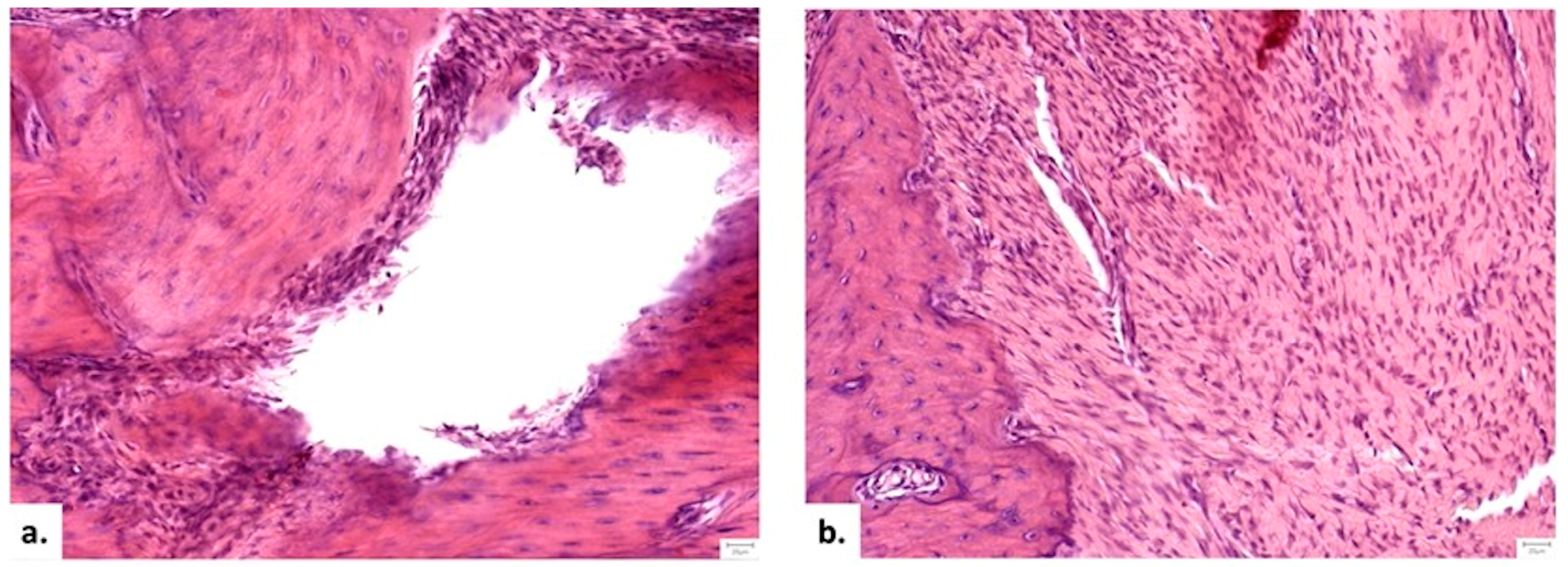 Medicina 62 00073 g010a