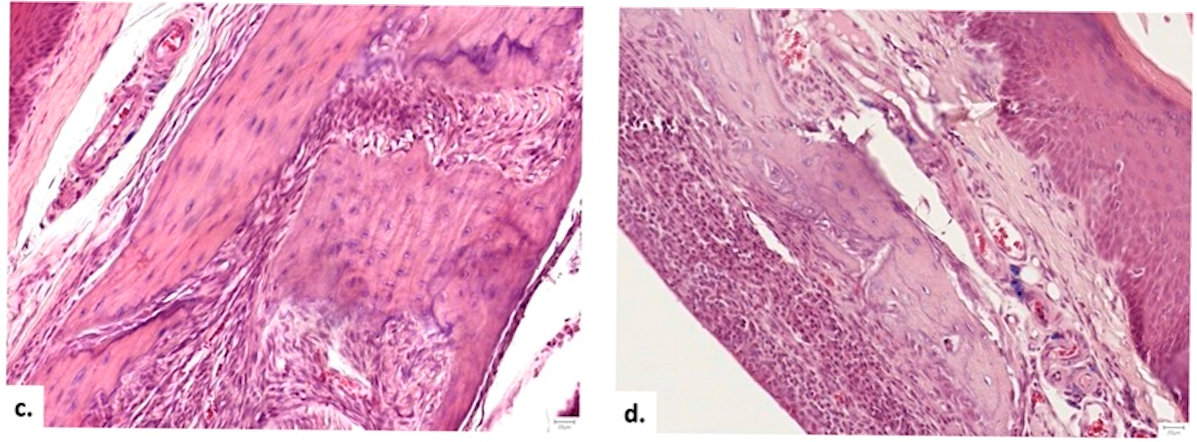 Medicina 62 00073 g010b