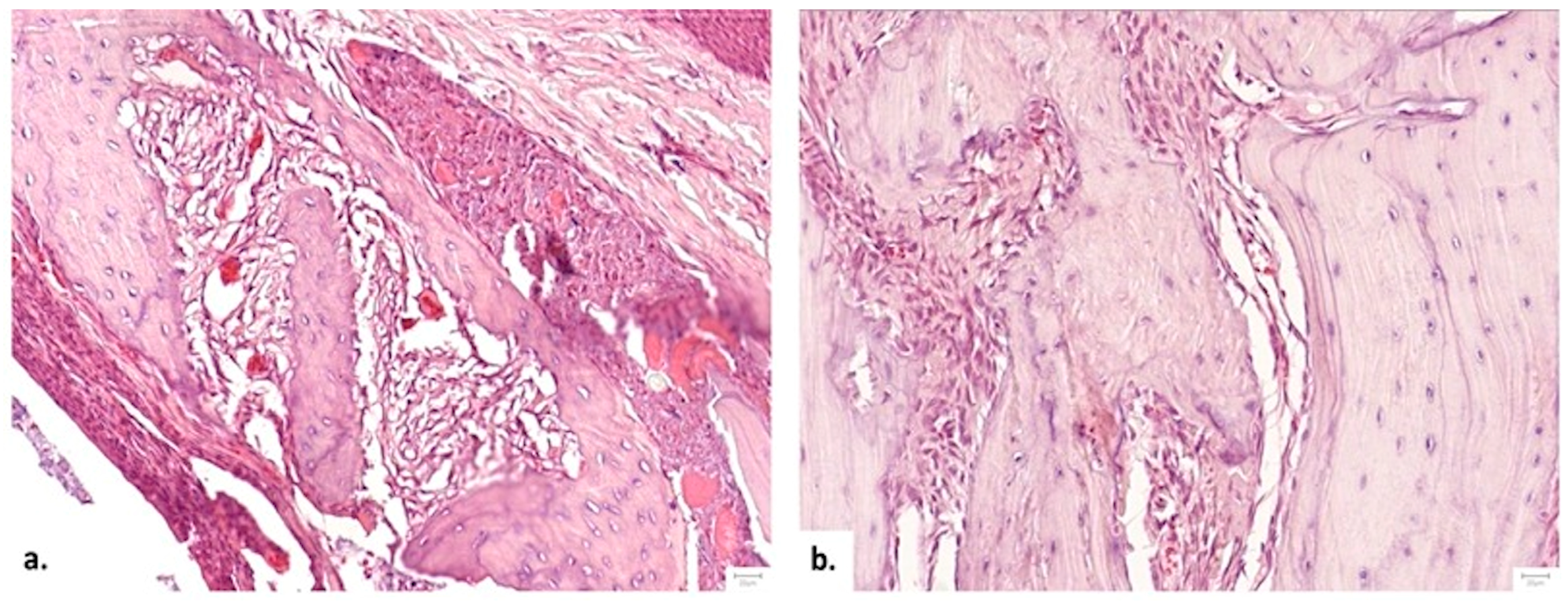 Medicina 62 00073 g011