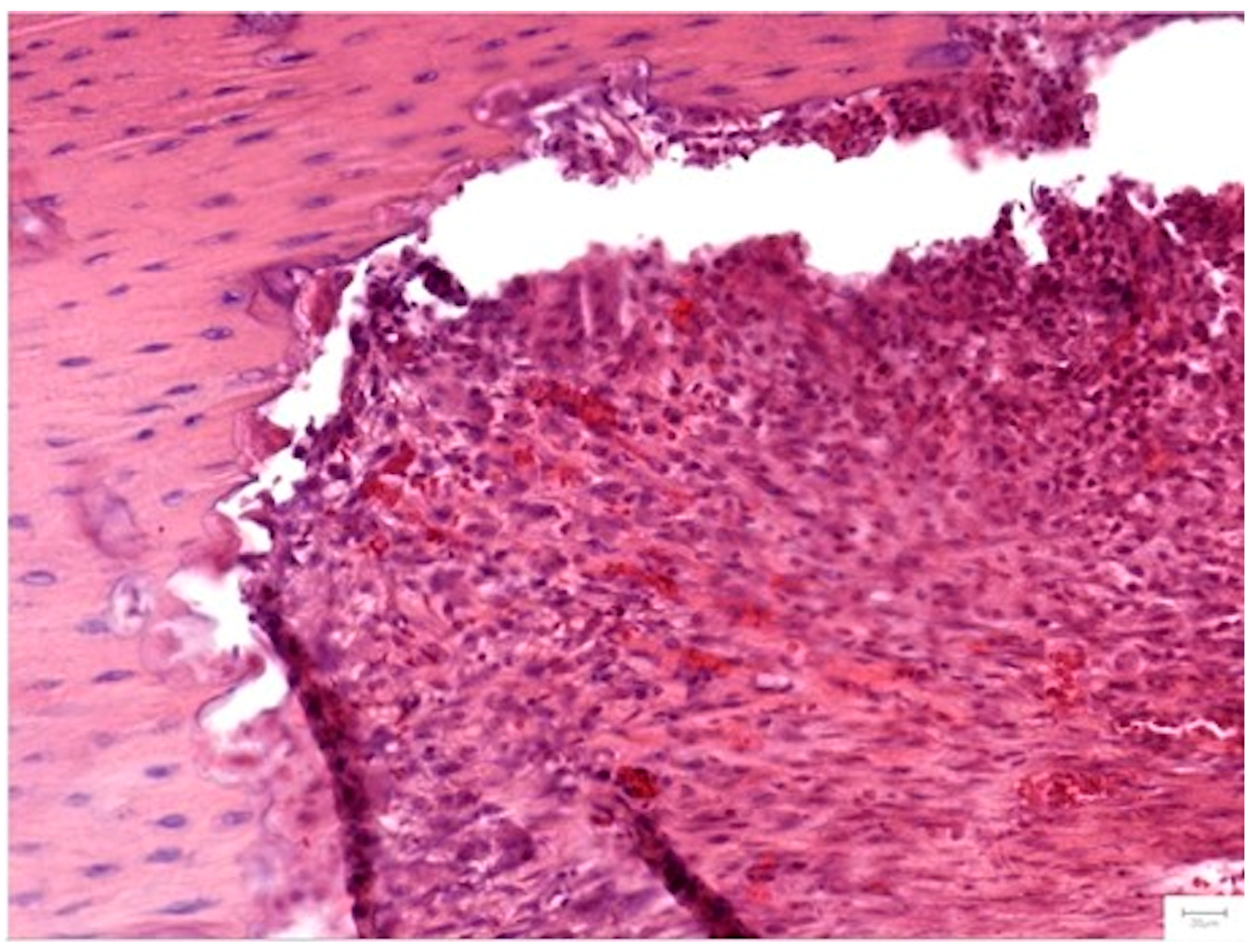 Medicina 62 00073 g012