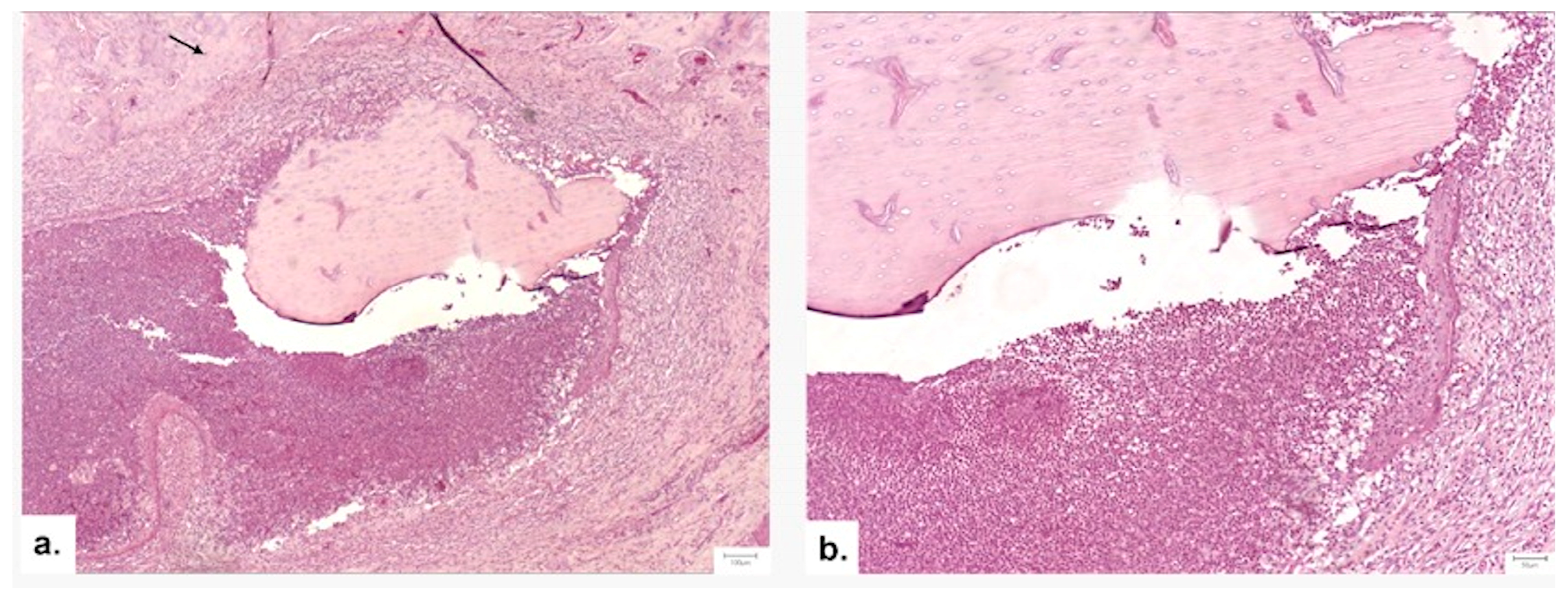 Medicina 62 00073 g013
