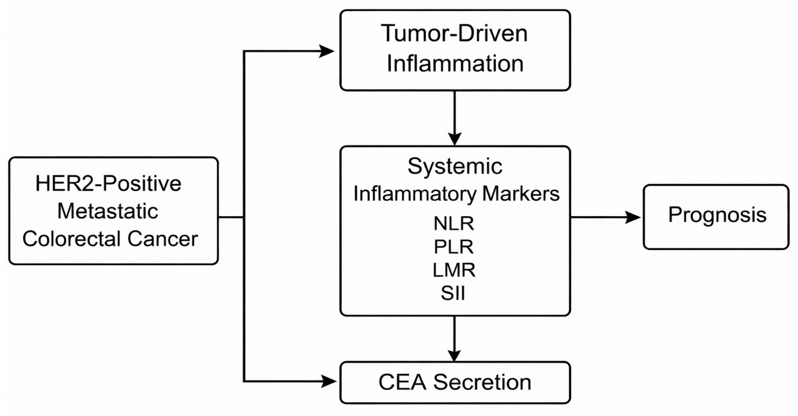 Medicina 62 00099 g001