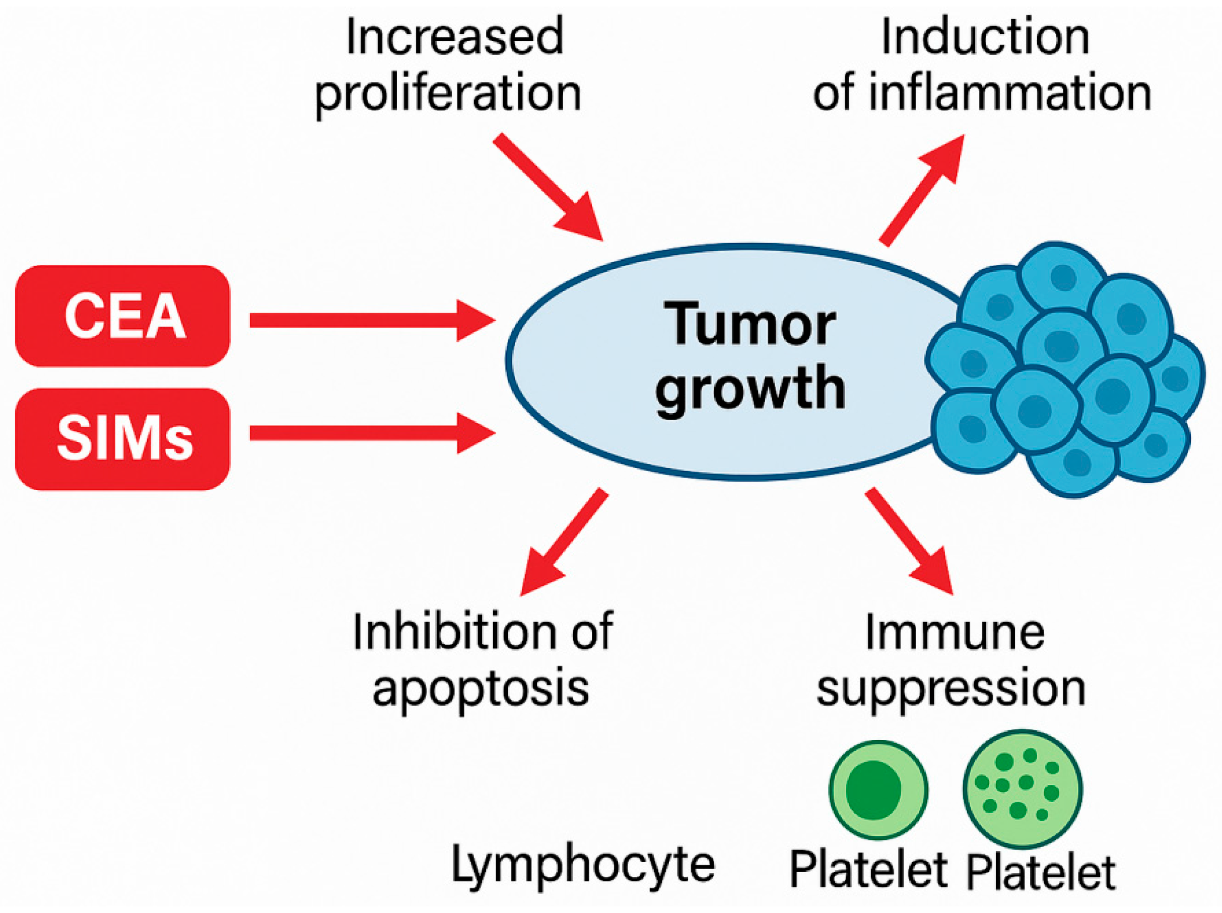 Medicina 62 00099 g011