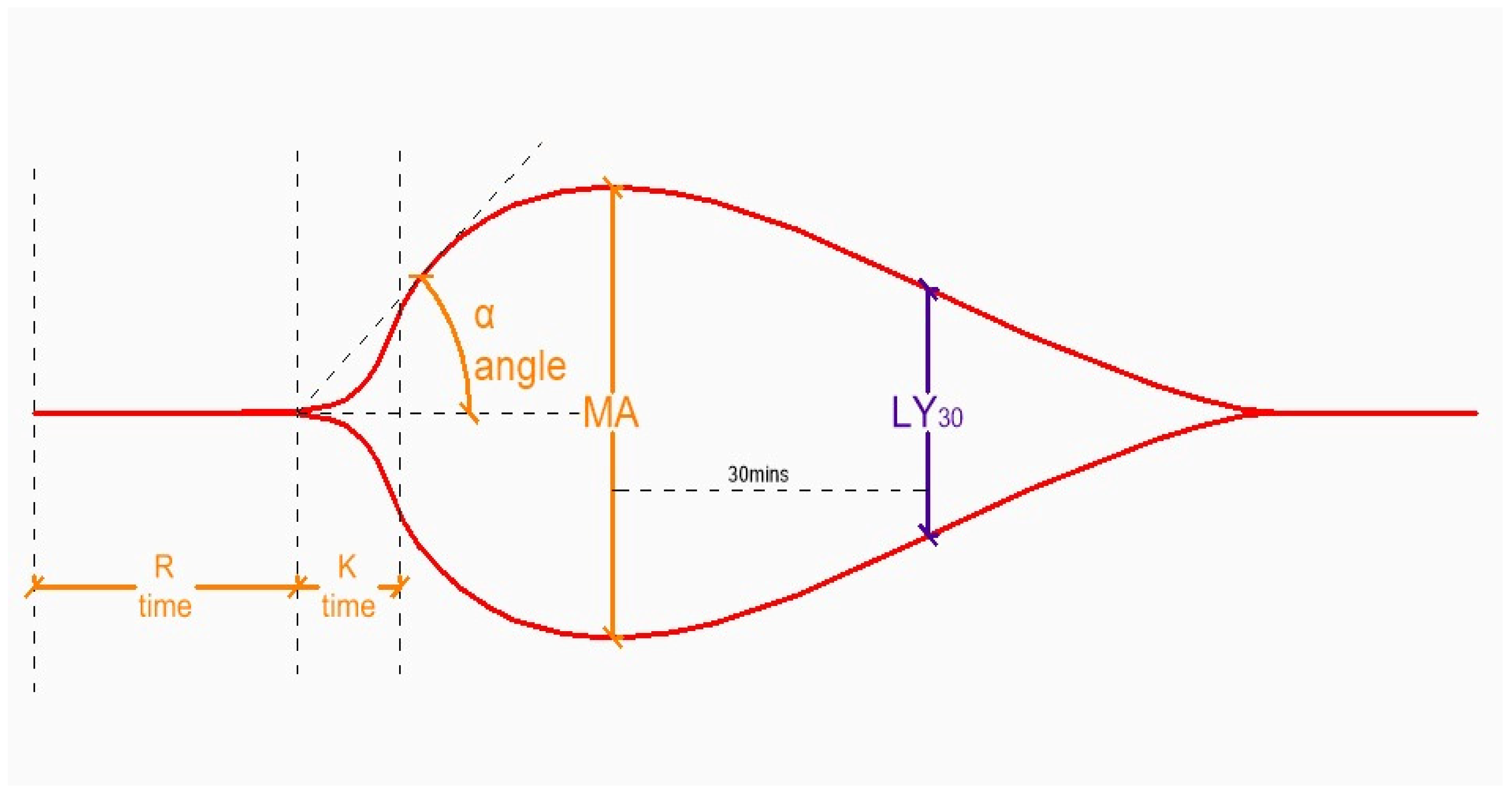Medicina 62 00104 g002