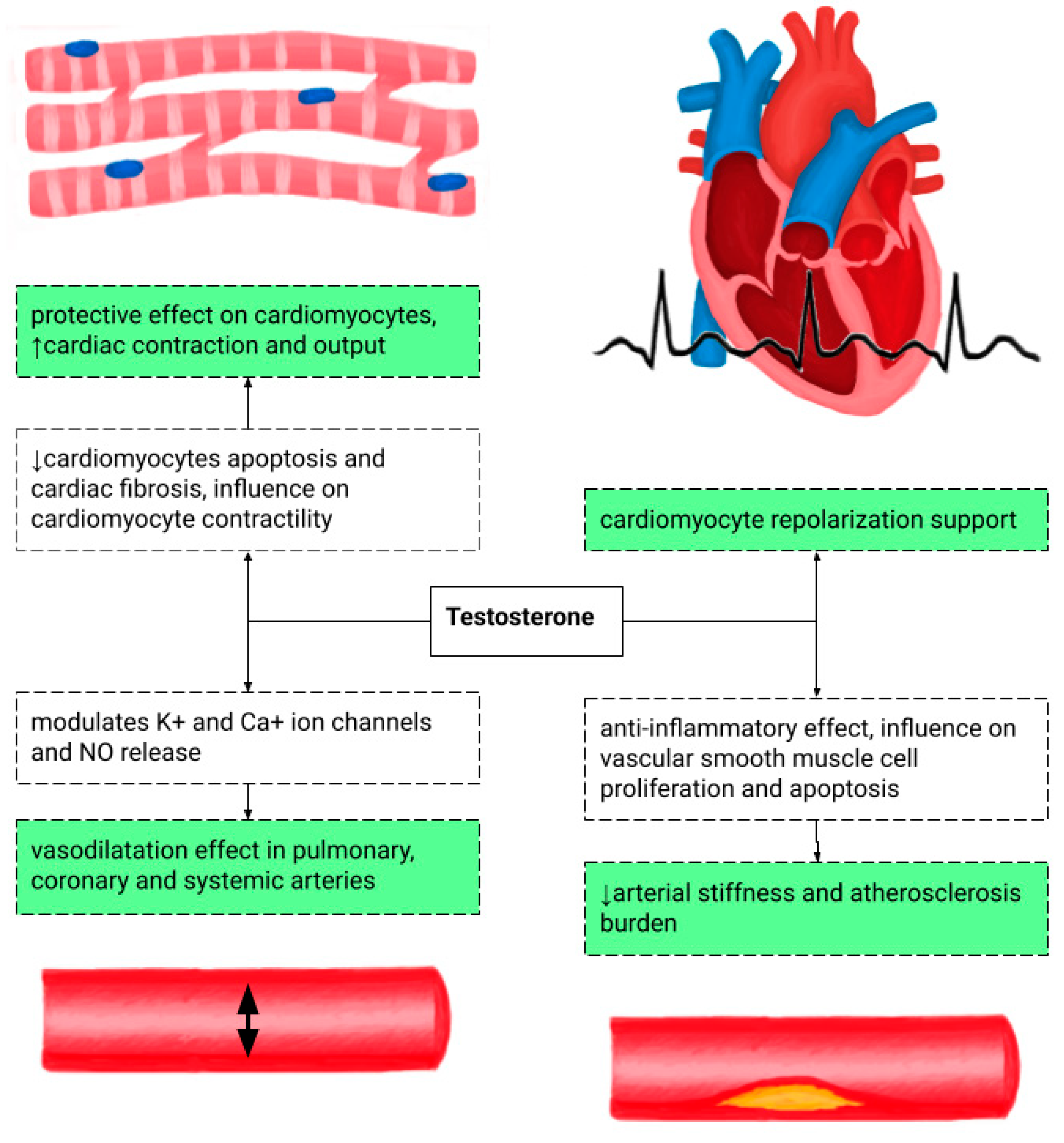 Medicina 62 00134 g002