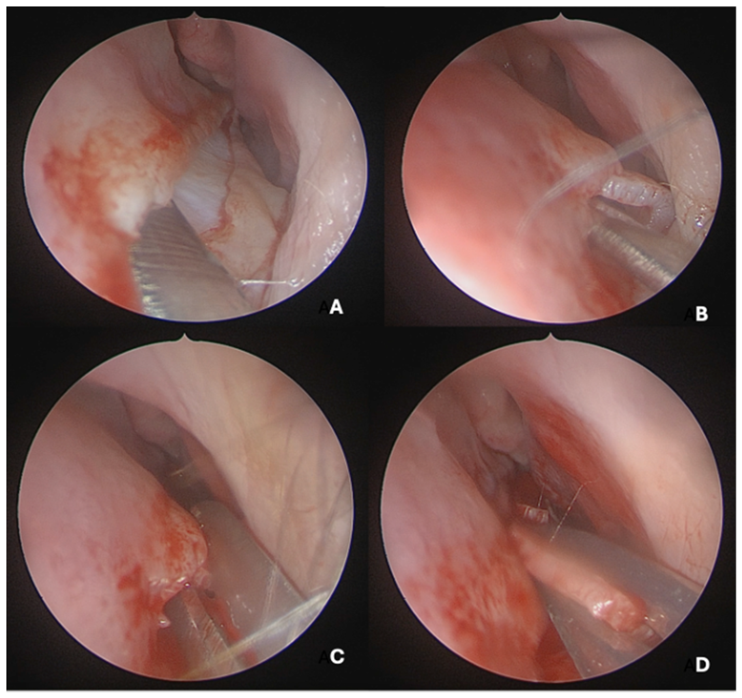 Medicina 62 00135 g002