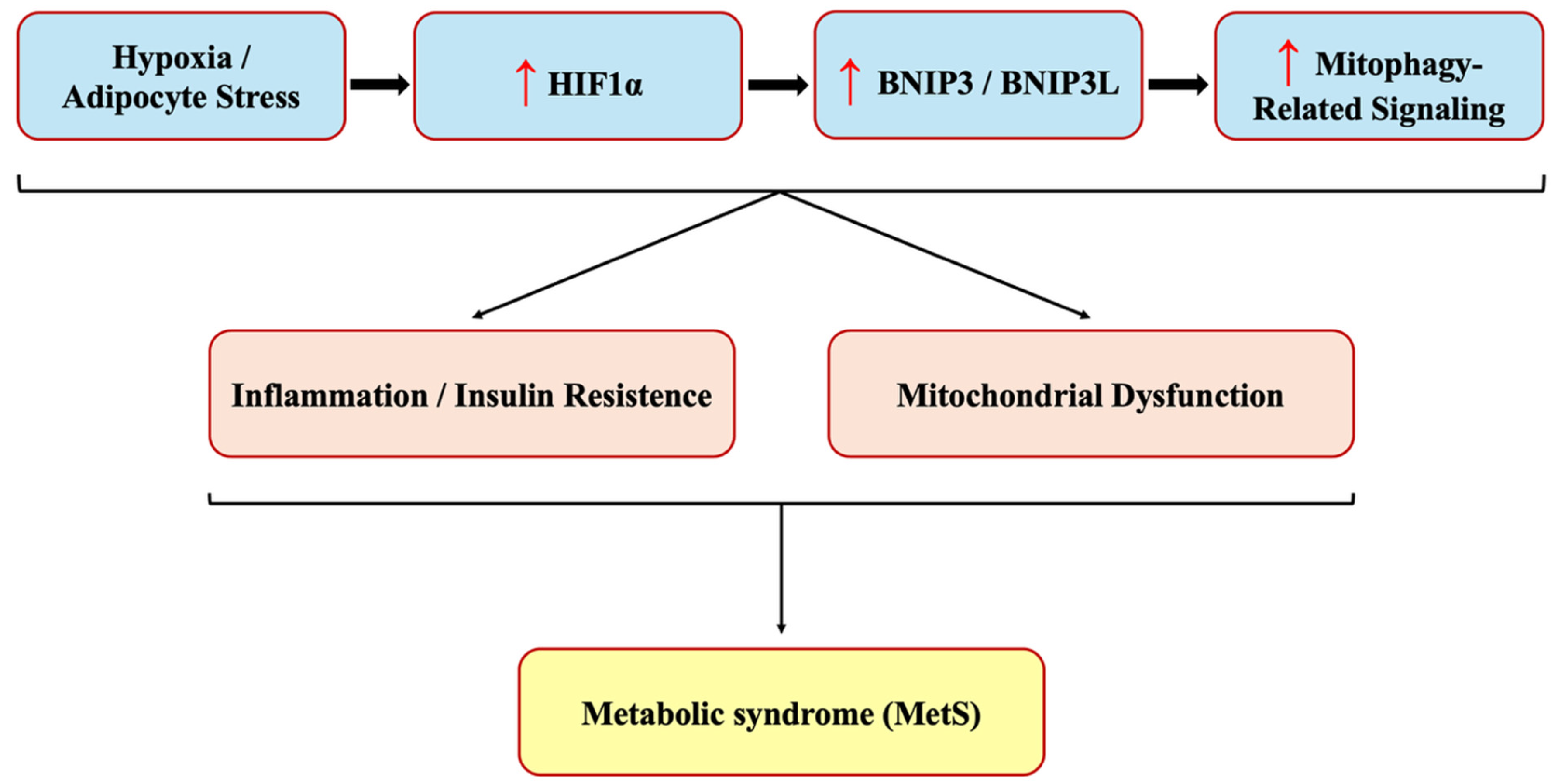 Medicina 62 00166 g003