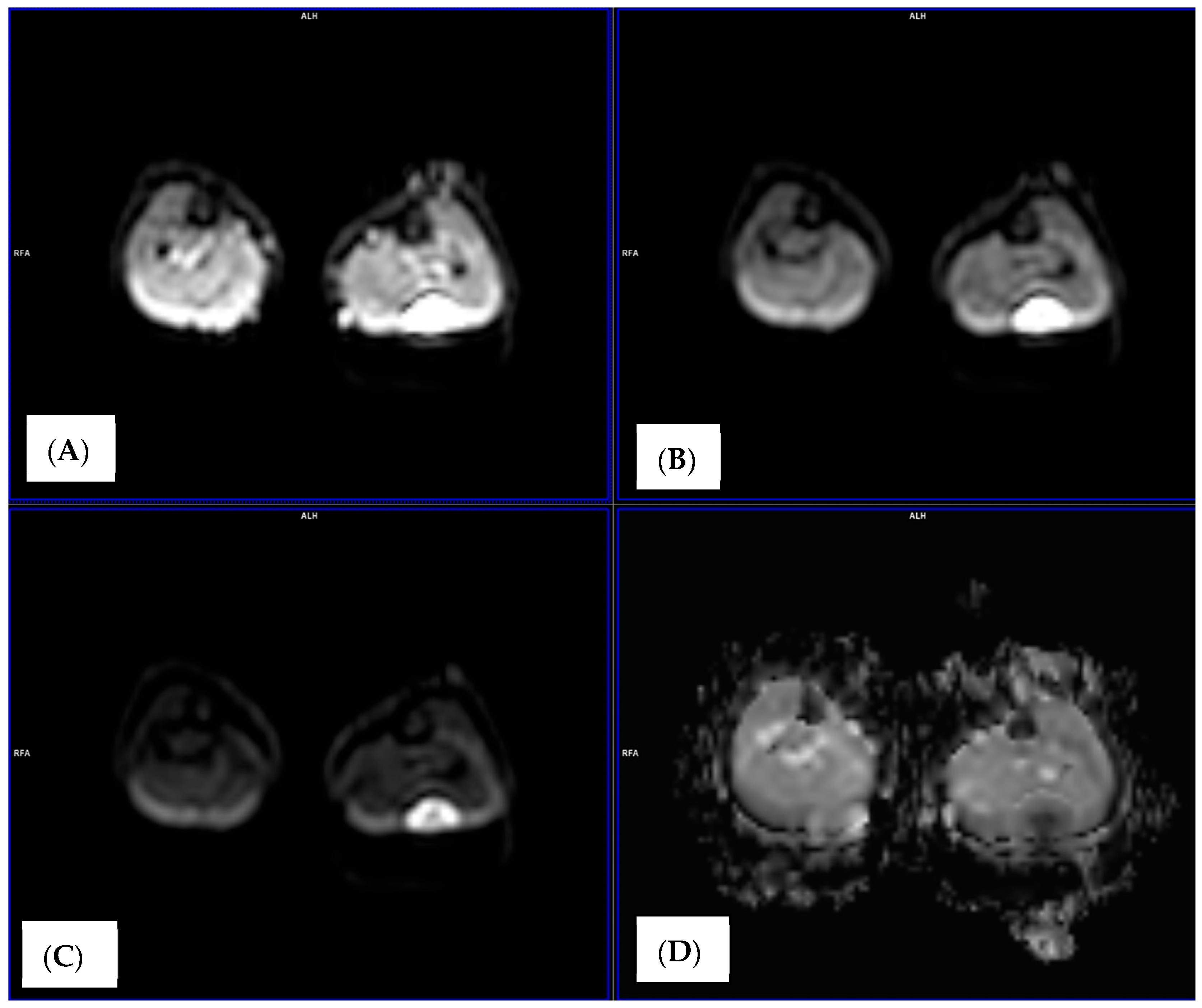 Medicina 62 00173 g001