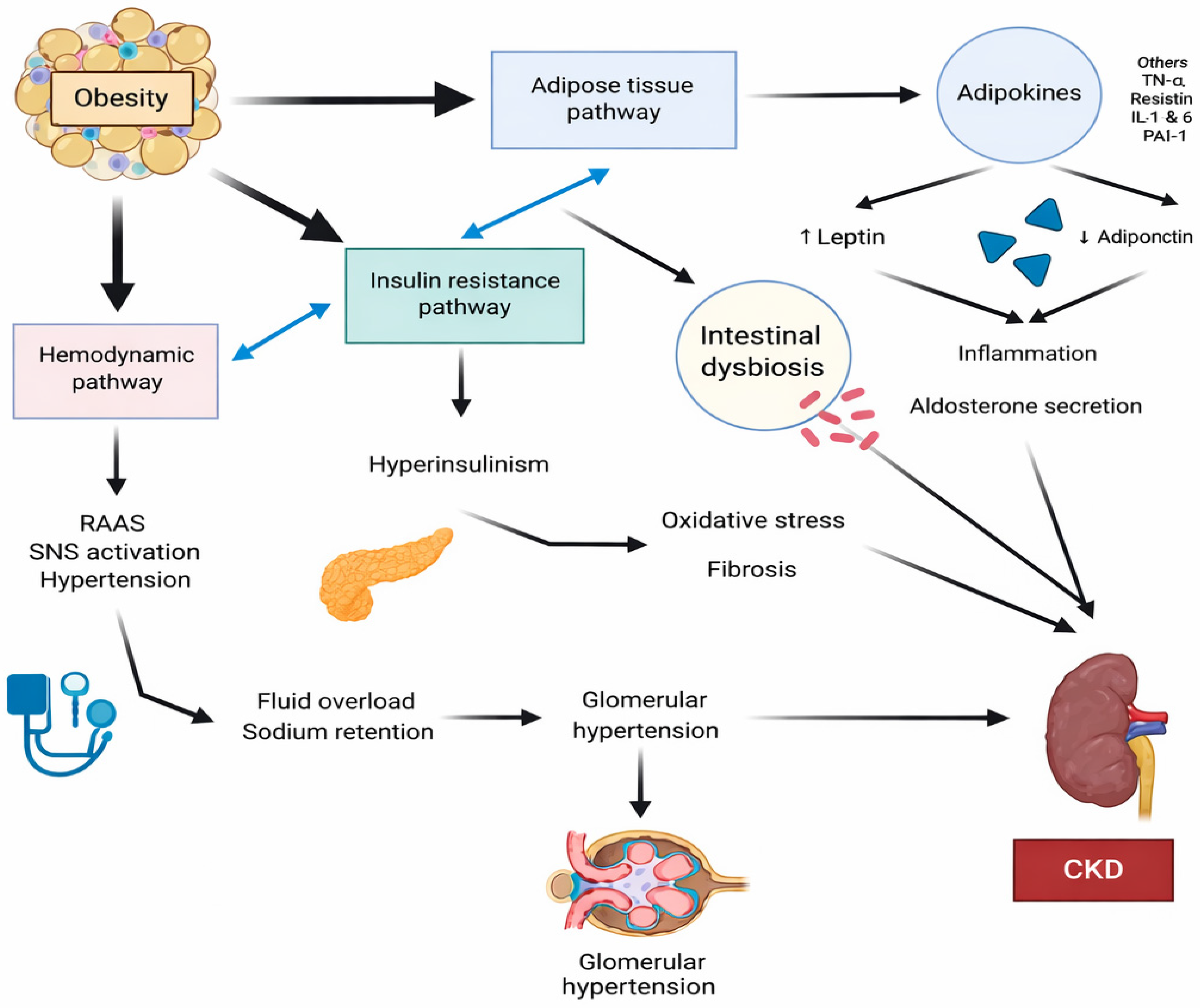 Medicina 62 00211 g001