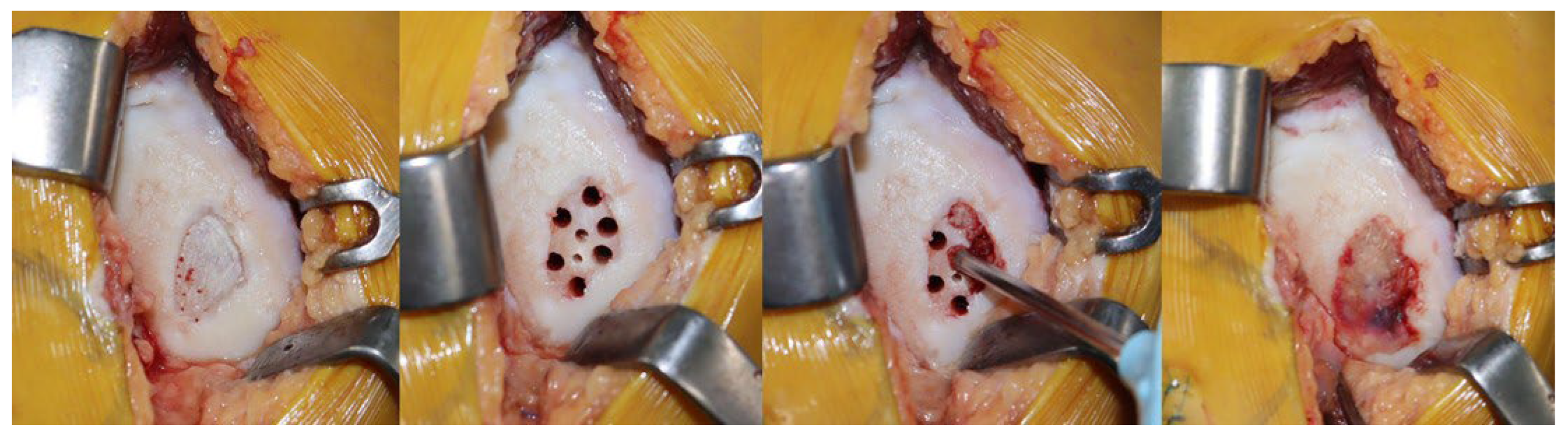 Medicina 62 00289 g001