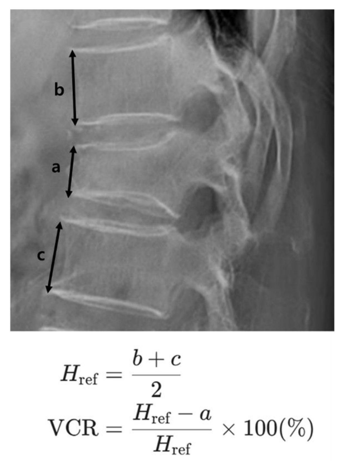 Medicina 62 00299 g001