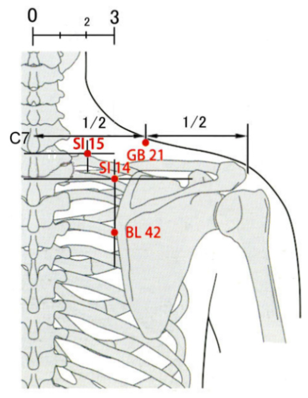 Medicines Free Full Text The Potential Of Double Blinding With Two Placebo Acupuncture Needles A Randomized Controlled Pilot Trial Html