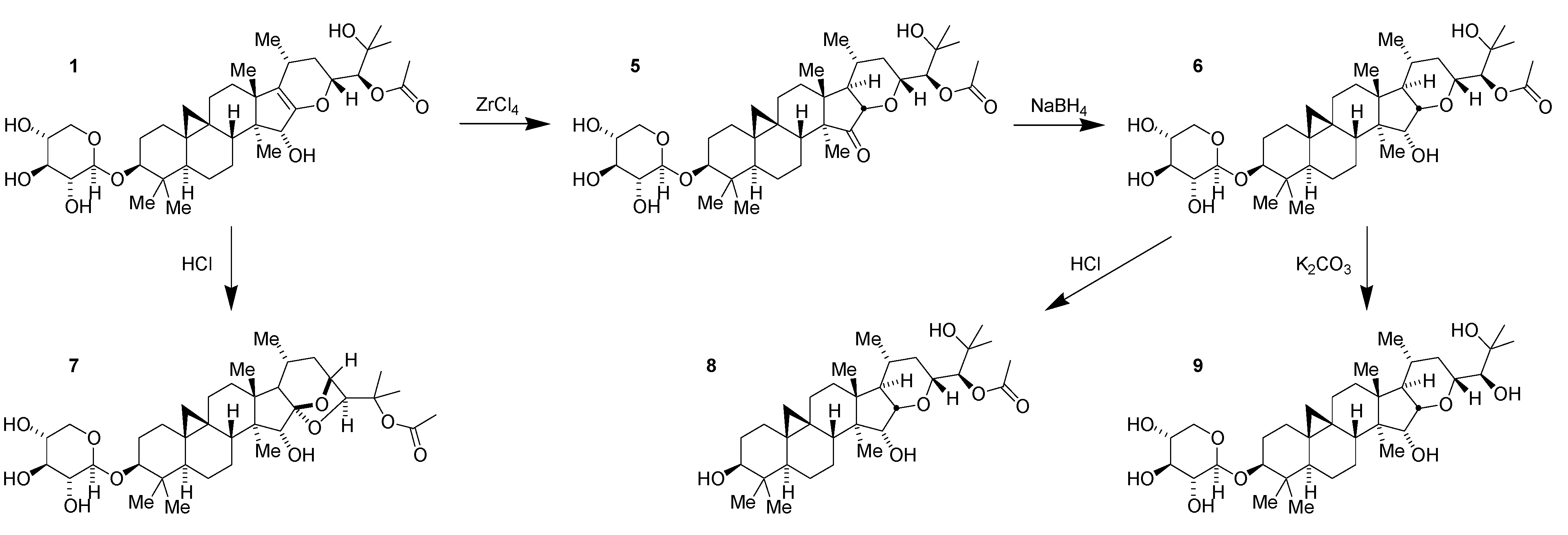 Medicines 02 00127 g003 1024