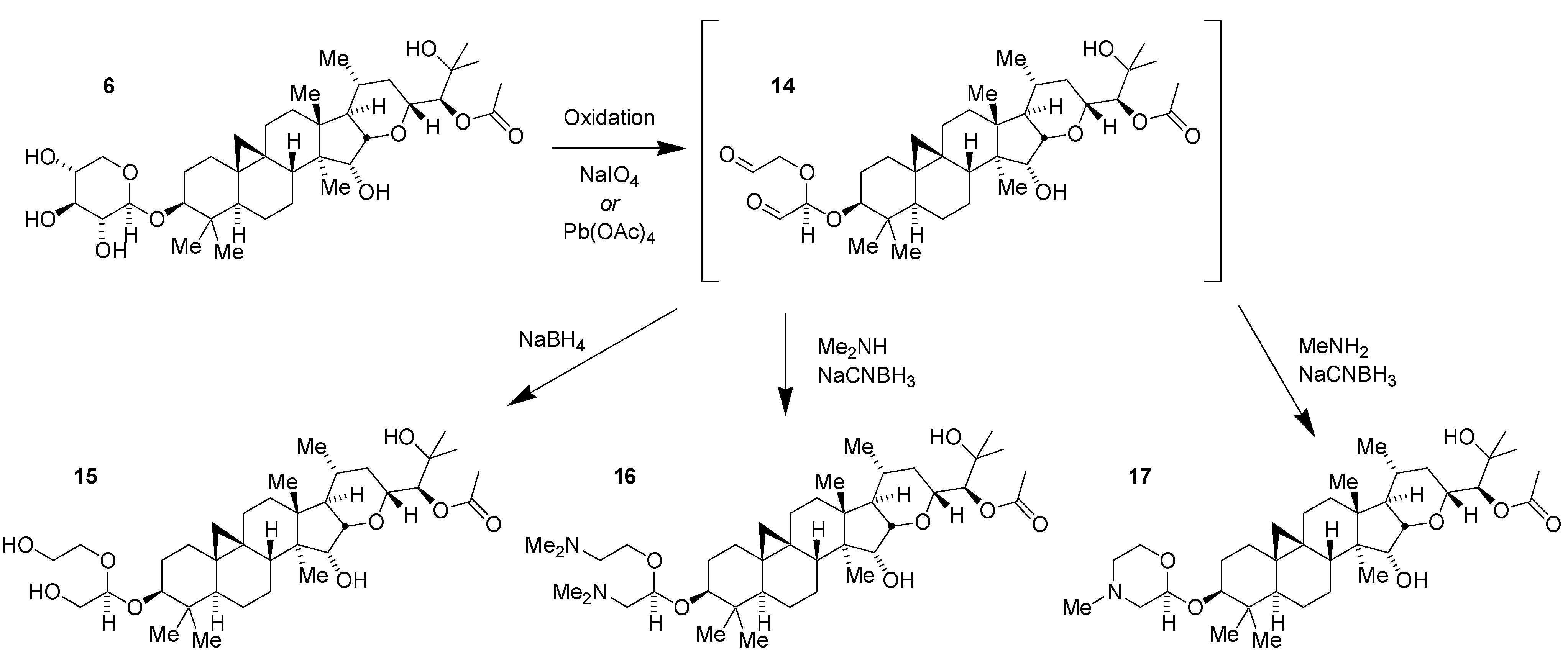 Medicines 02 00127 g005 1024
