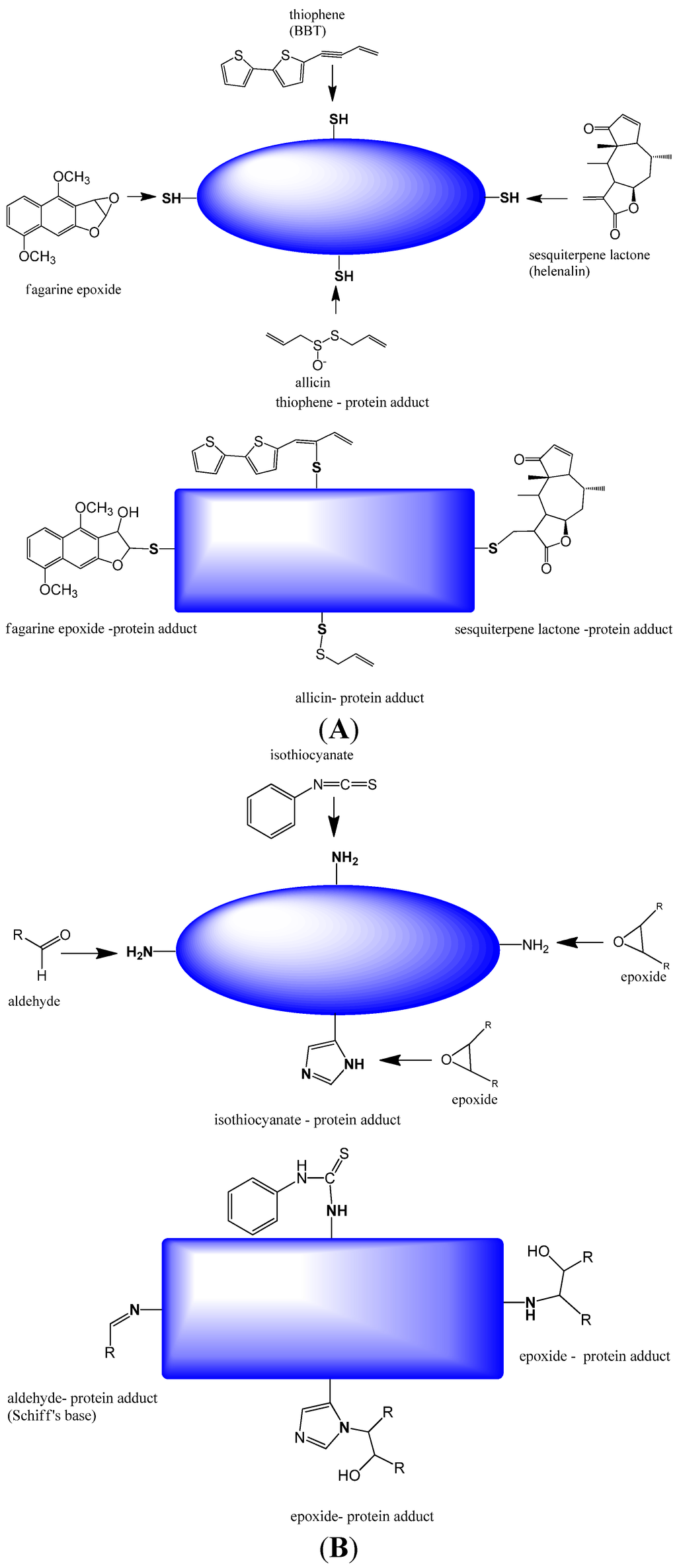 Figure 1 From Bioactivities And Medicinal Value Of Solanesol And Its