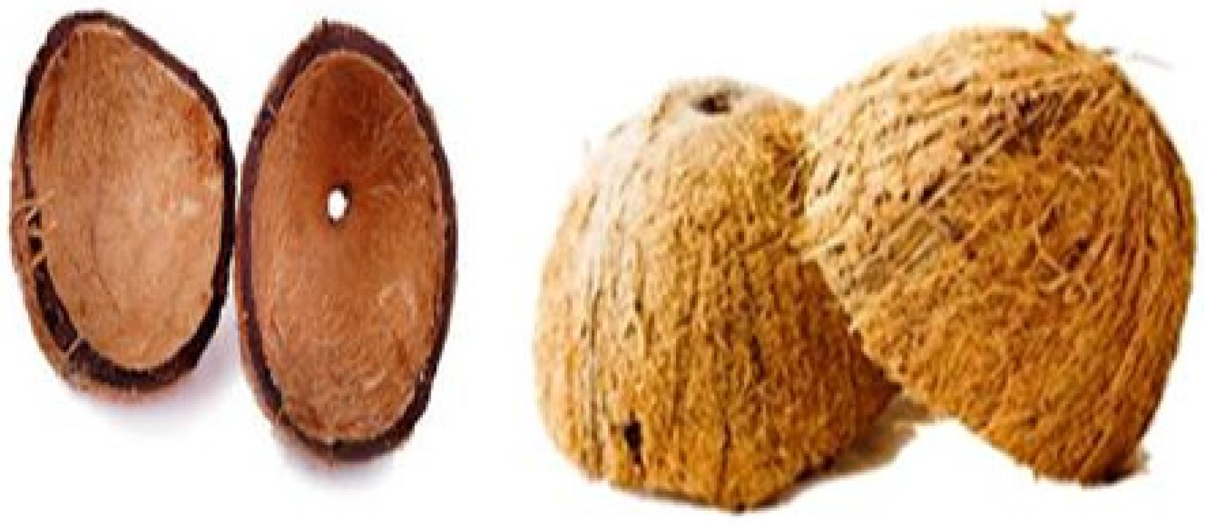 Medicines 03 00012 g001