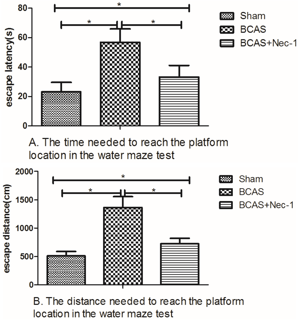 Medicines Free Full Text Necrostatin 1 Attenuates Inflammatory Response And Improves Cognitive Function In Chronic Ischemic Stroke Mice Html
