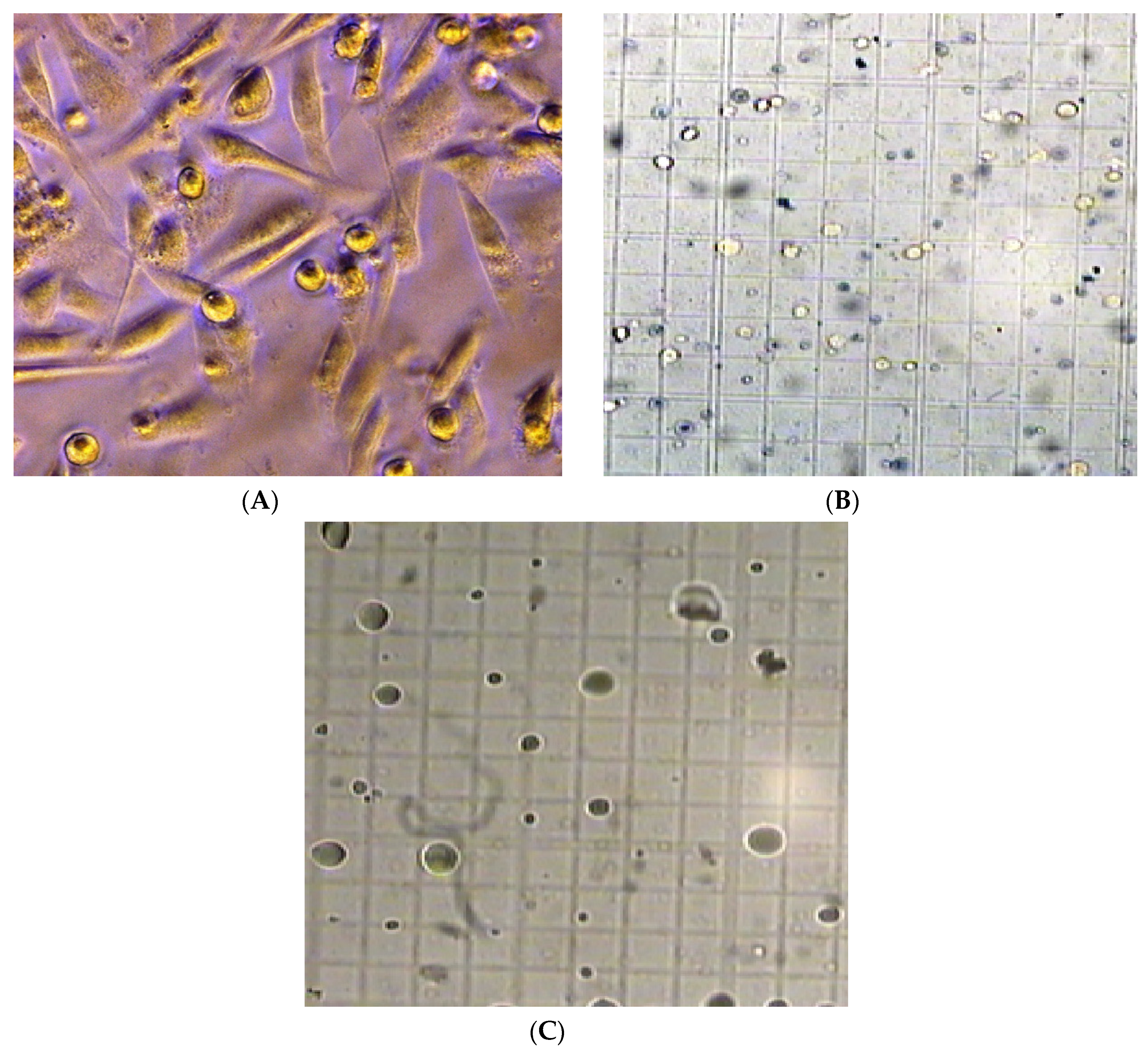 Medicines 03 00028 g004 550