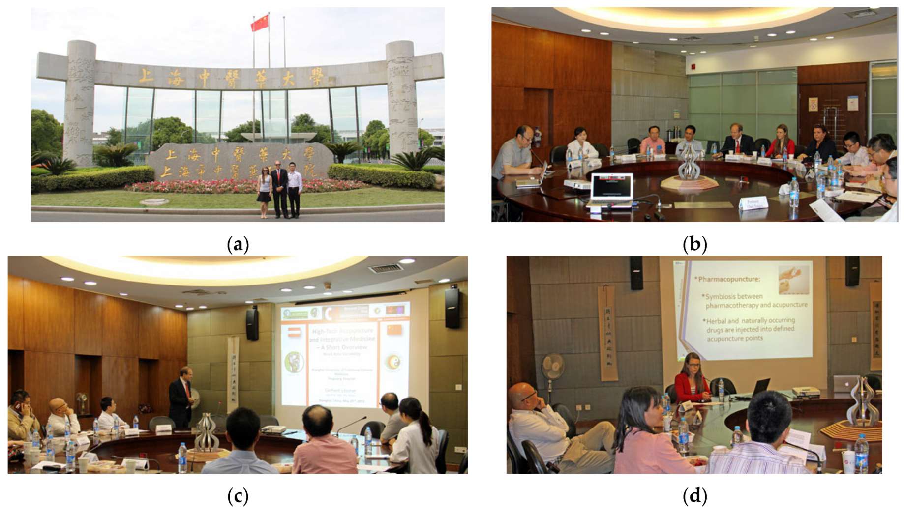 Medicines 04 00013 g018 550