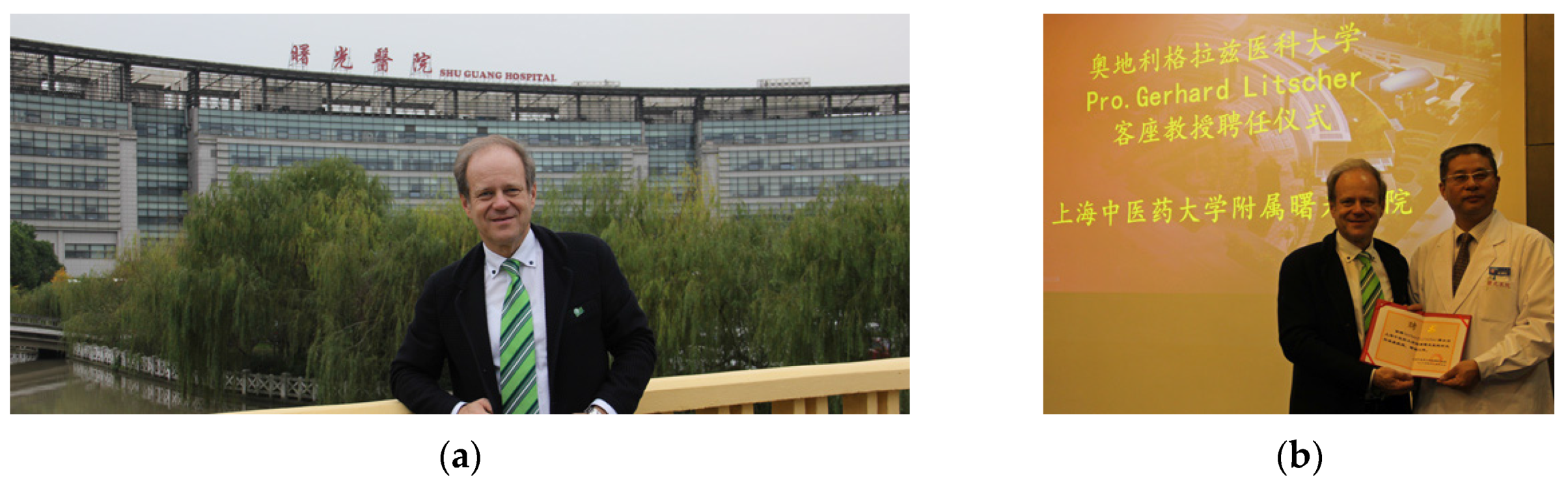 Medicines 04 00013 g030a 550