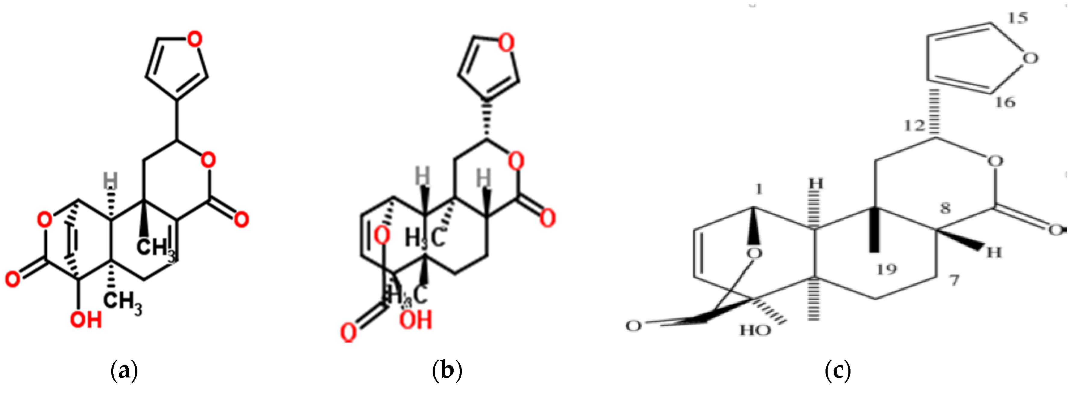 Medicines 04 00050 g004