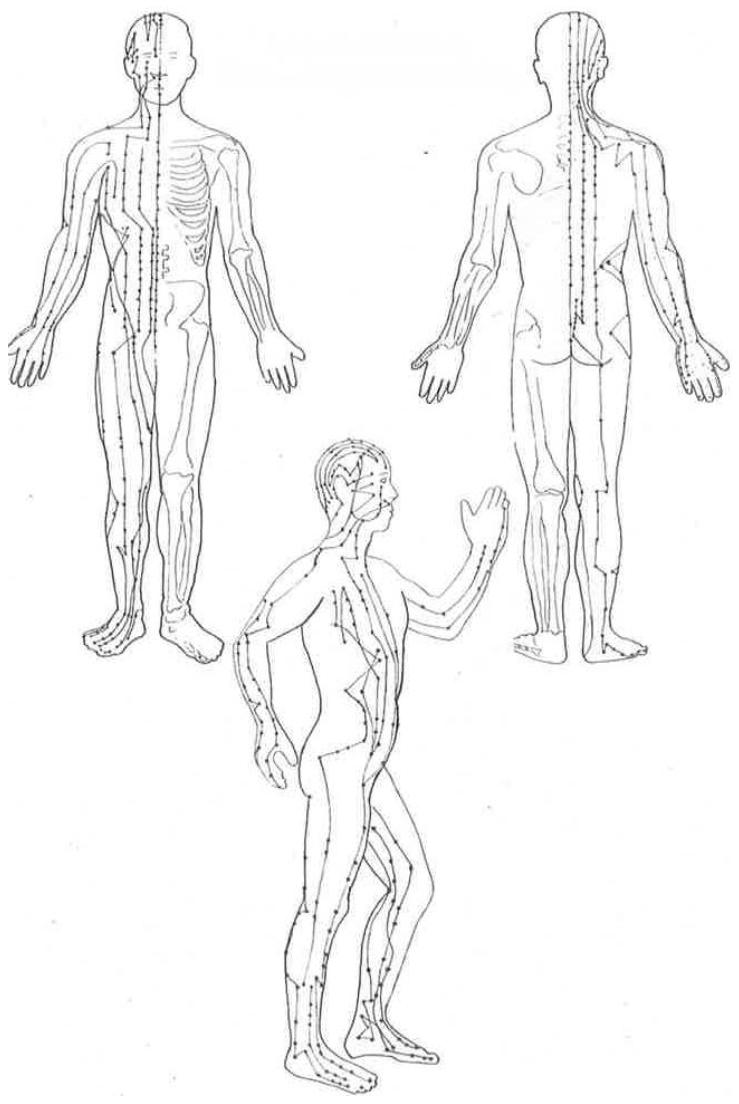 Medicines 04 00069 g001