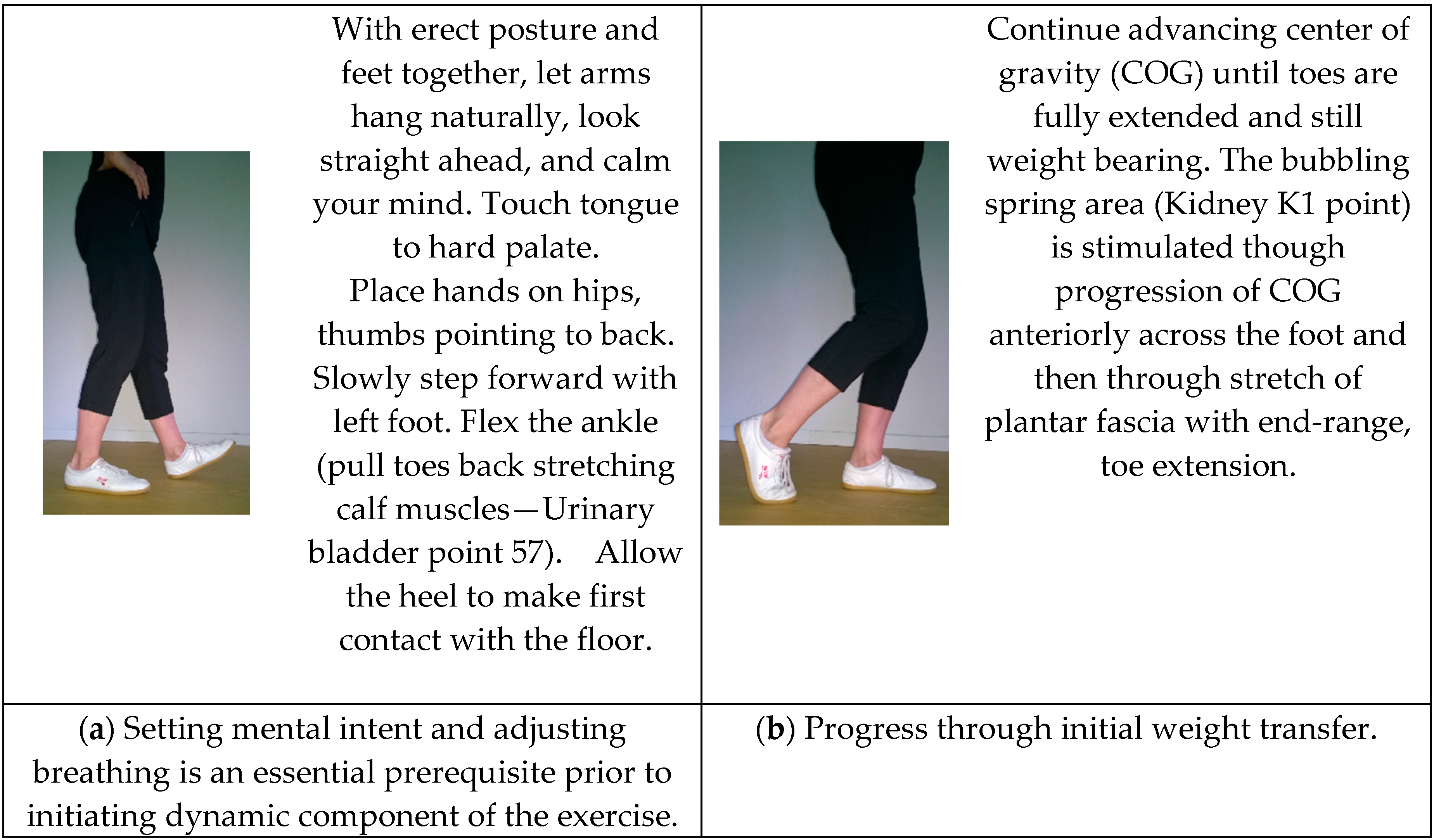 Medicines 04 00069 g004a