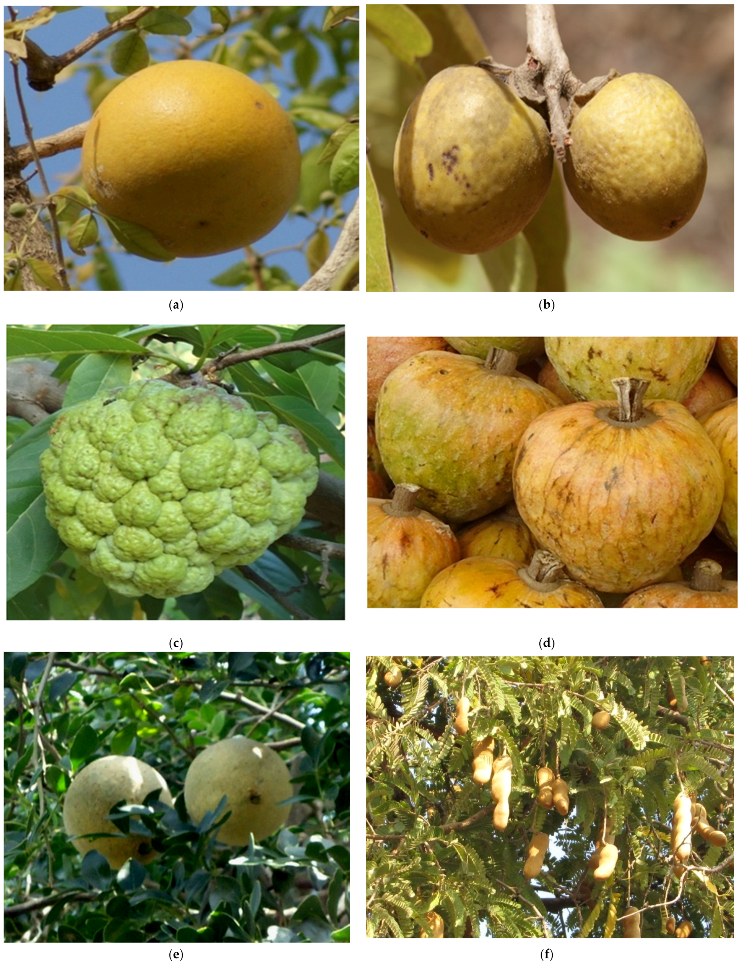 Medicines 04 00082 g001 550