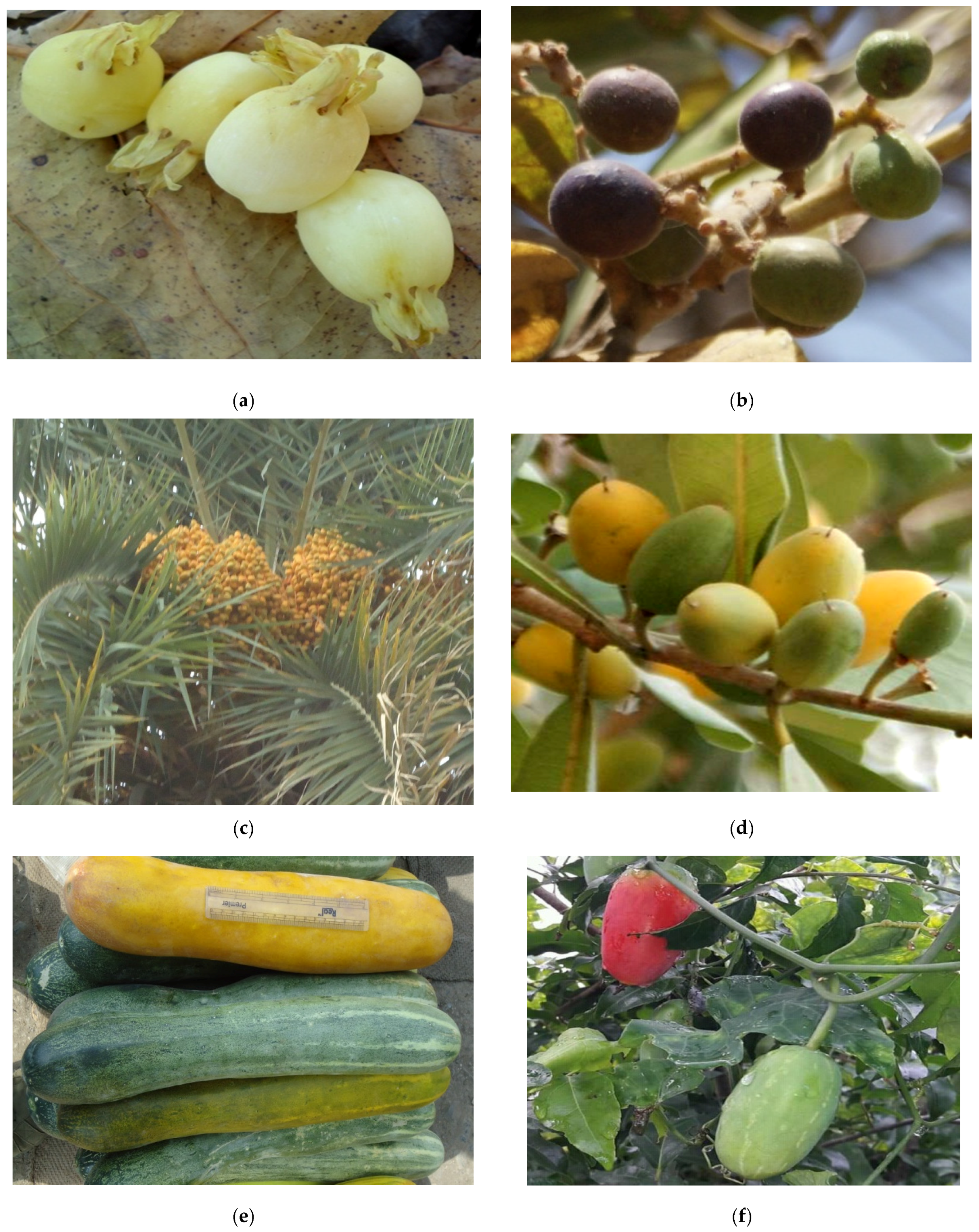 Medicines 04 00082 g002 550