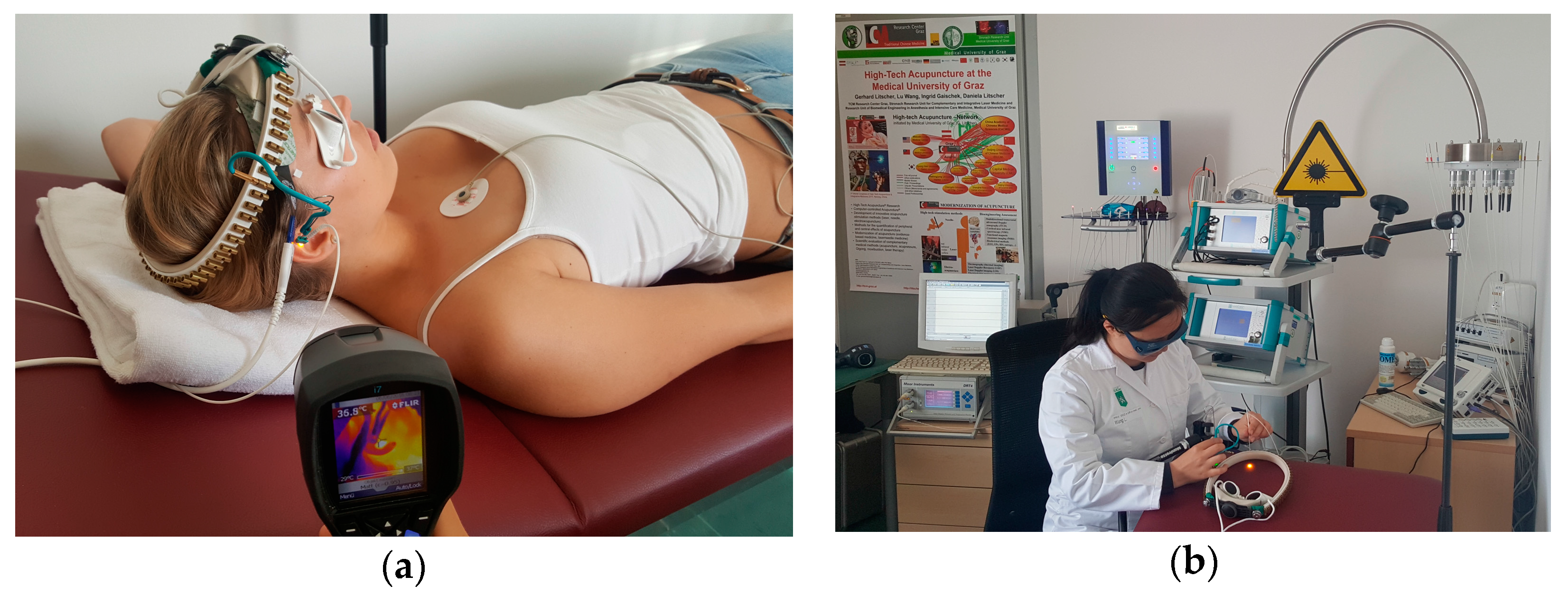 Medicines 05 00024 g002 550