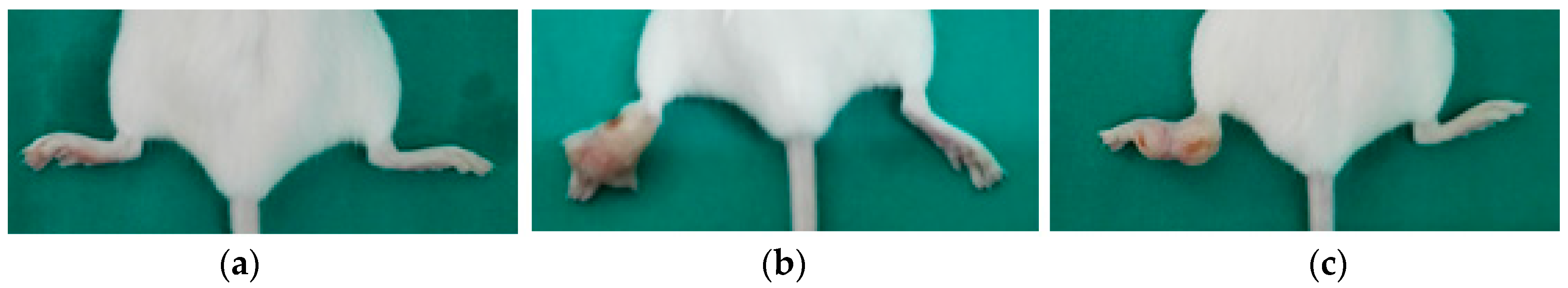 Medicines 05 00049 g002 Medicines 05 00049 g002