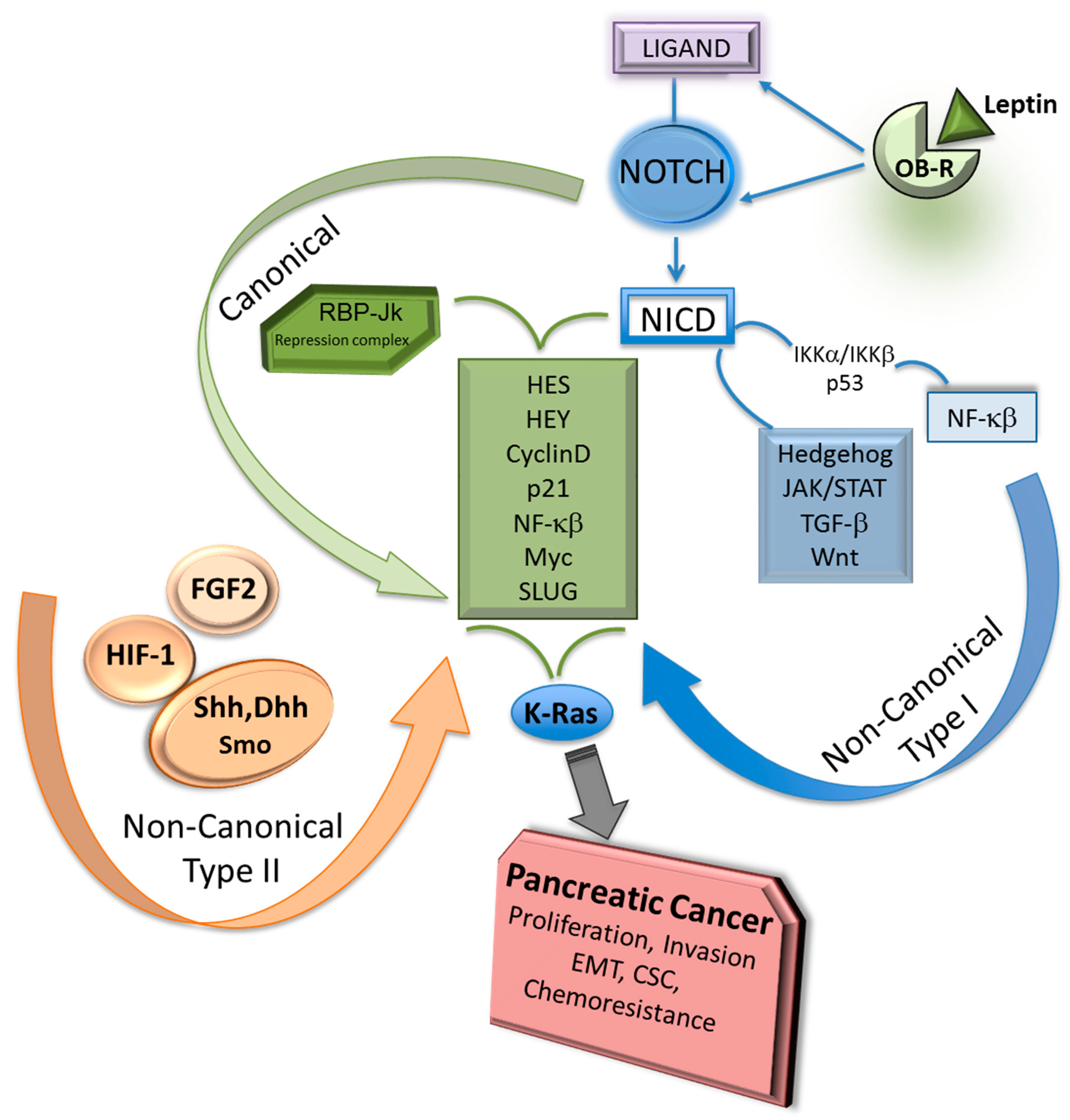 Medicines 05 00068 g002