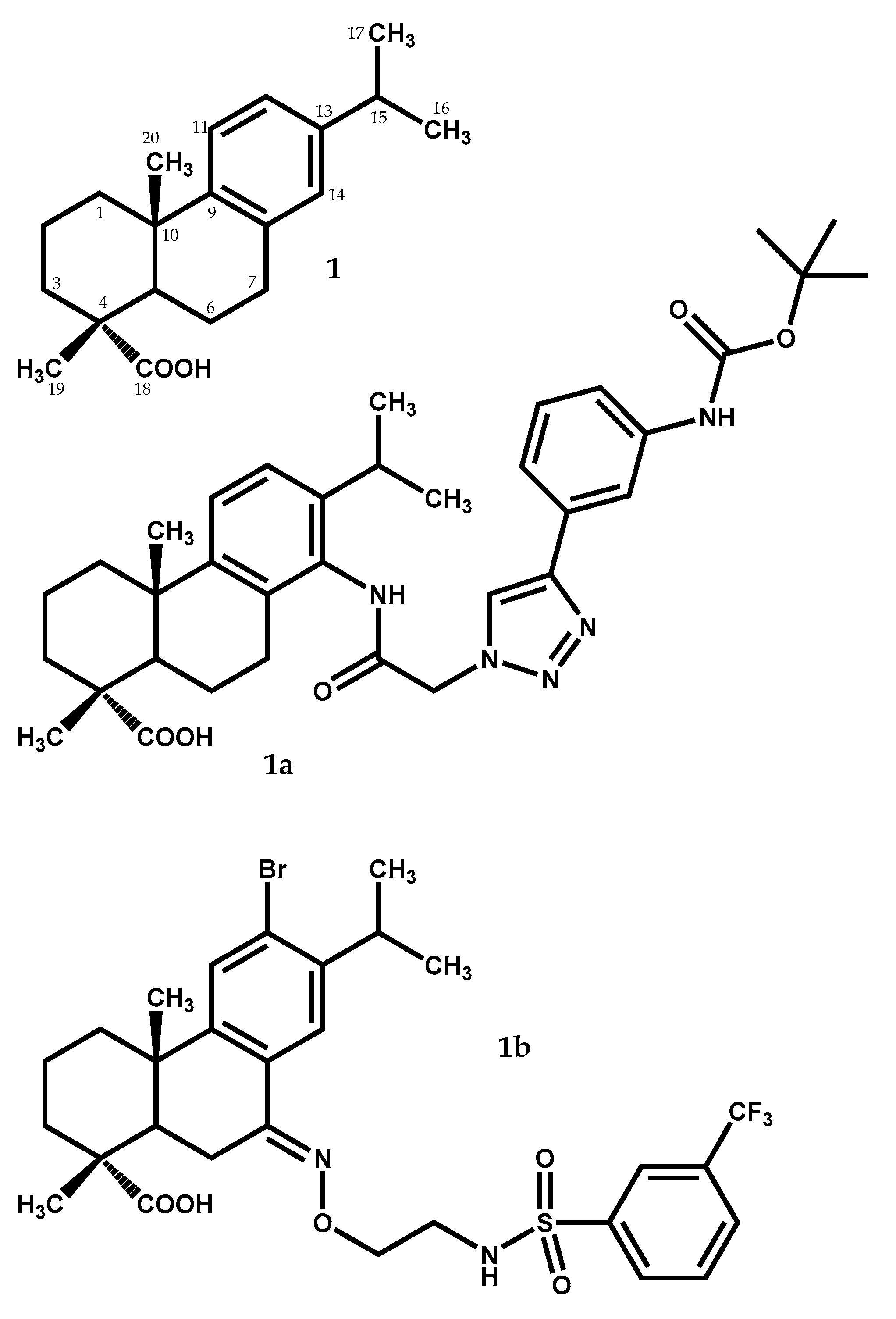 Medicines 05 00081 g001 Medicines 05 00081 g001