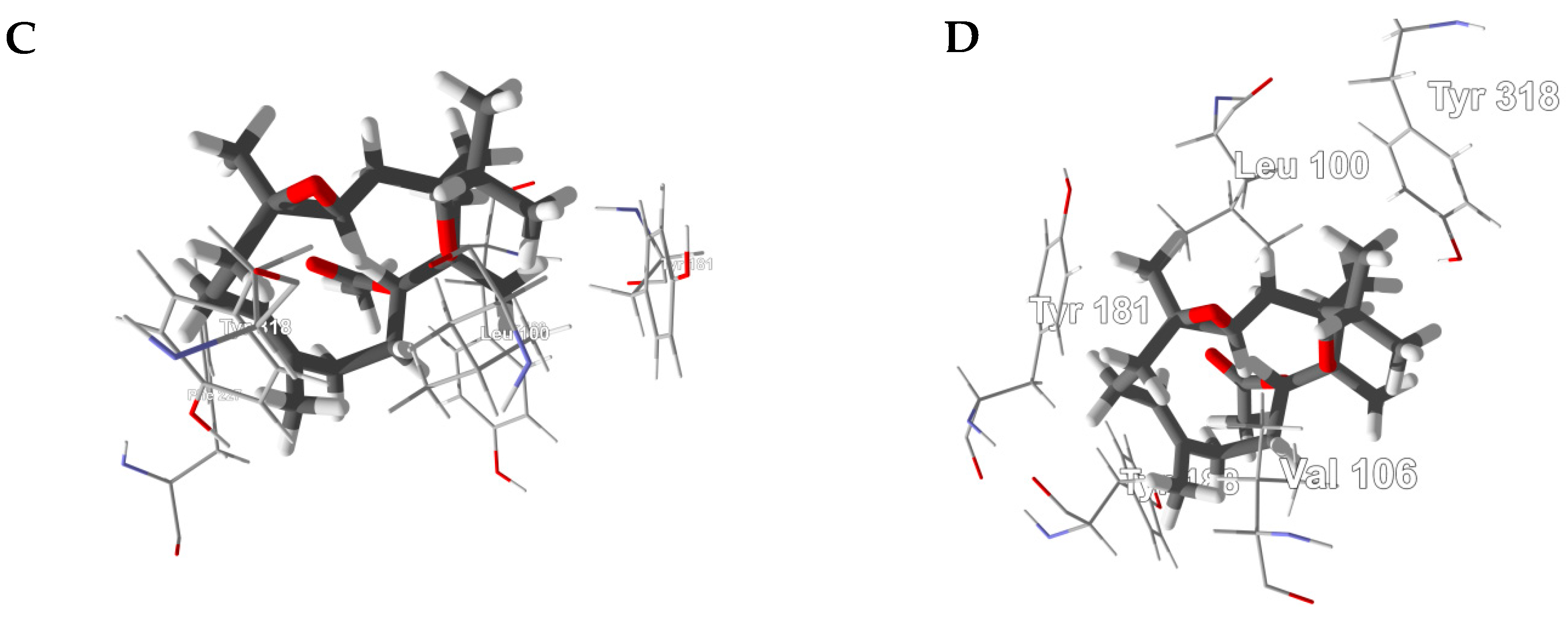 Medicines 05 00096 g007b