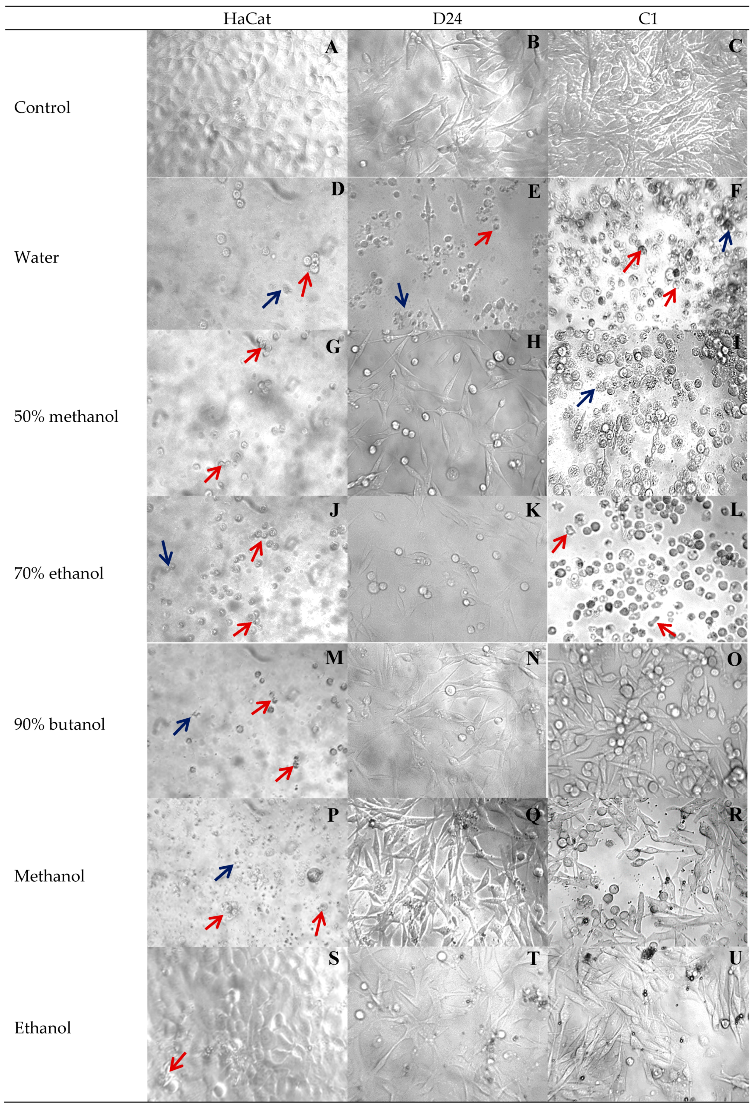 Medicines 05 00104 g007