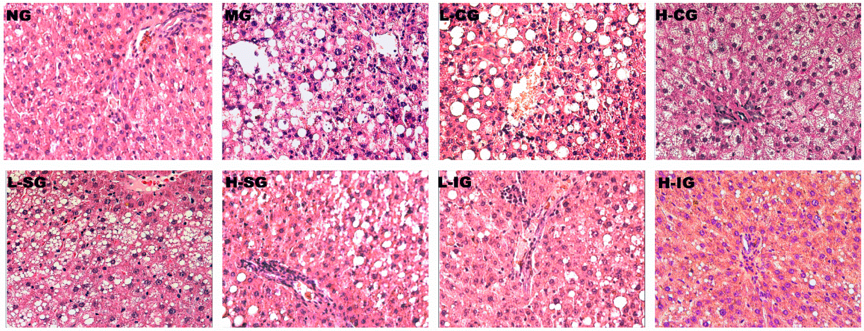 Medicines 05 00106 g001