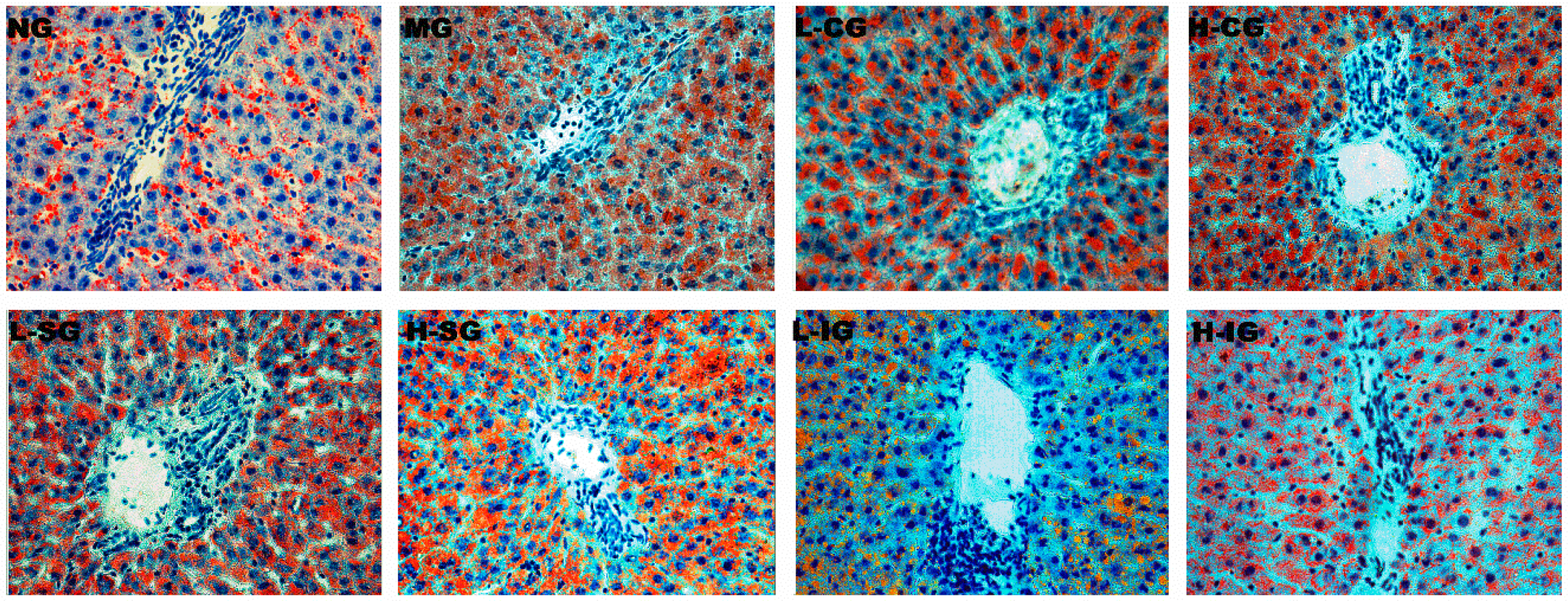 Medicines 05 00106 g002