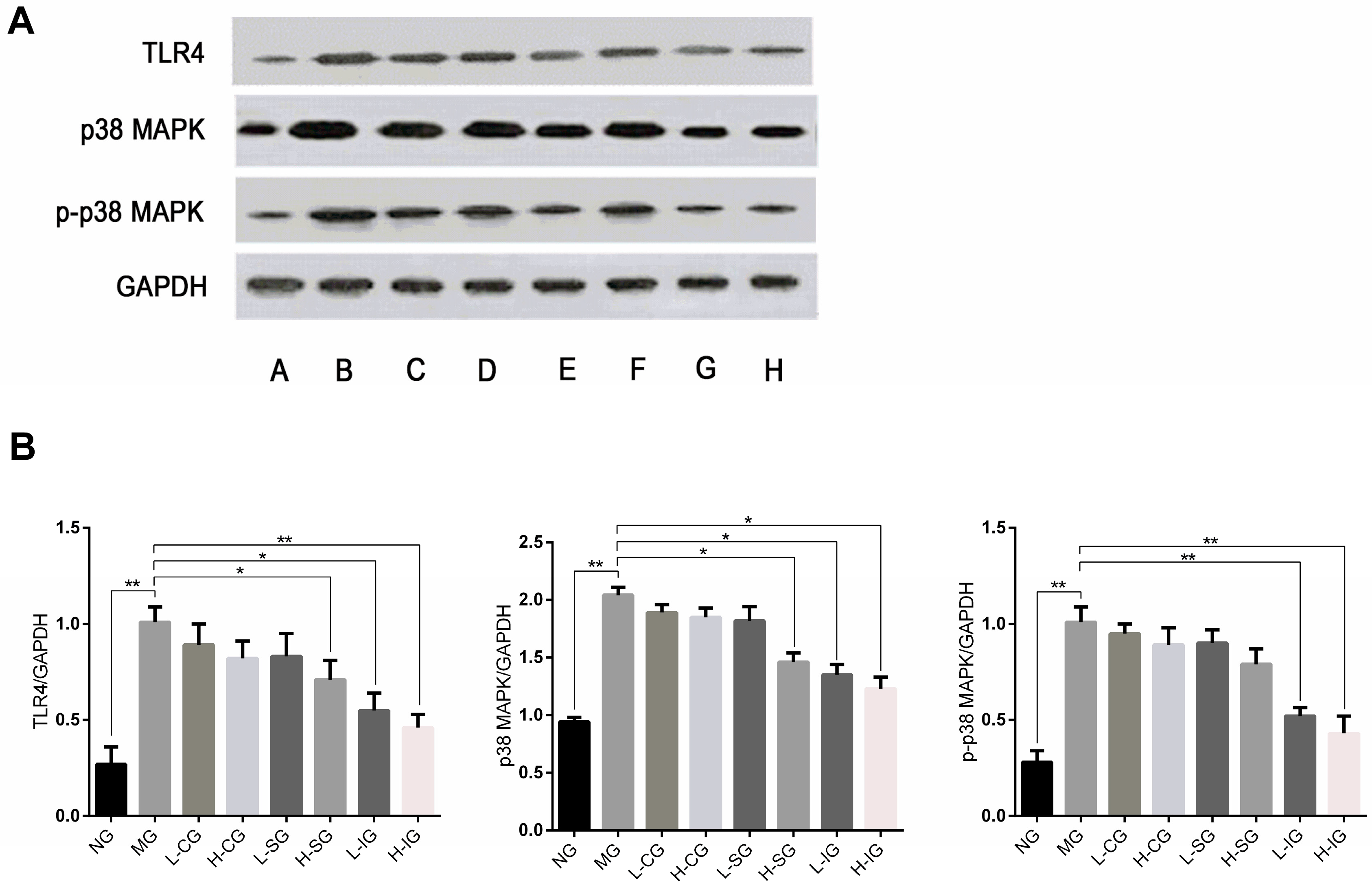 Medicines 05 00106 g004