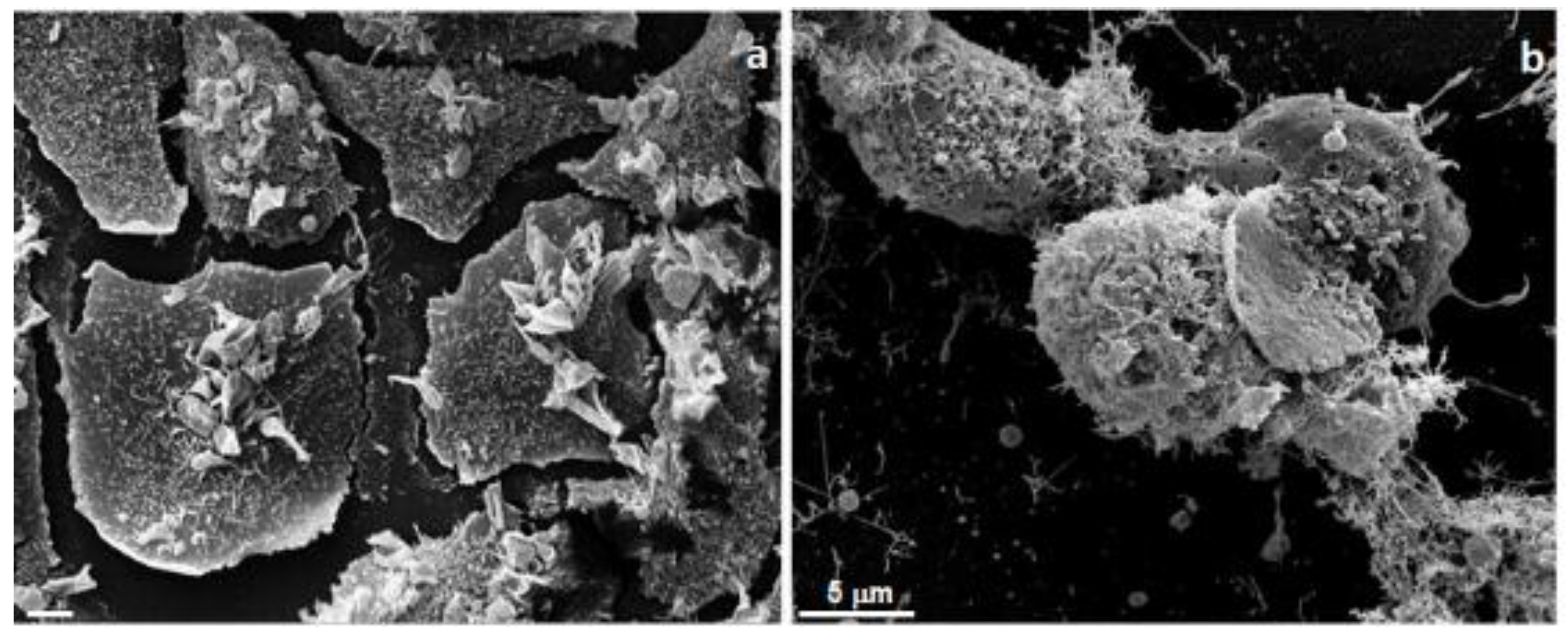 Medicines 05 00112 g002