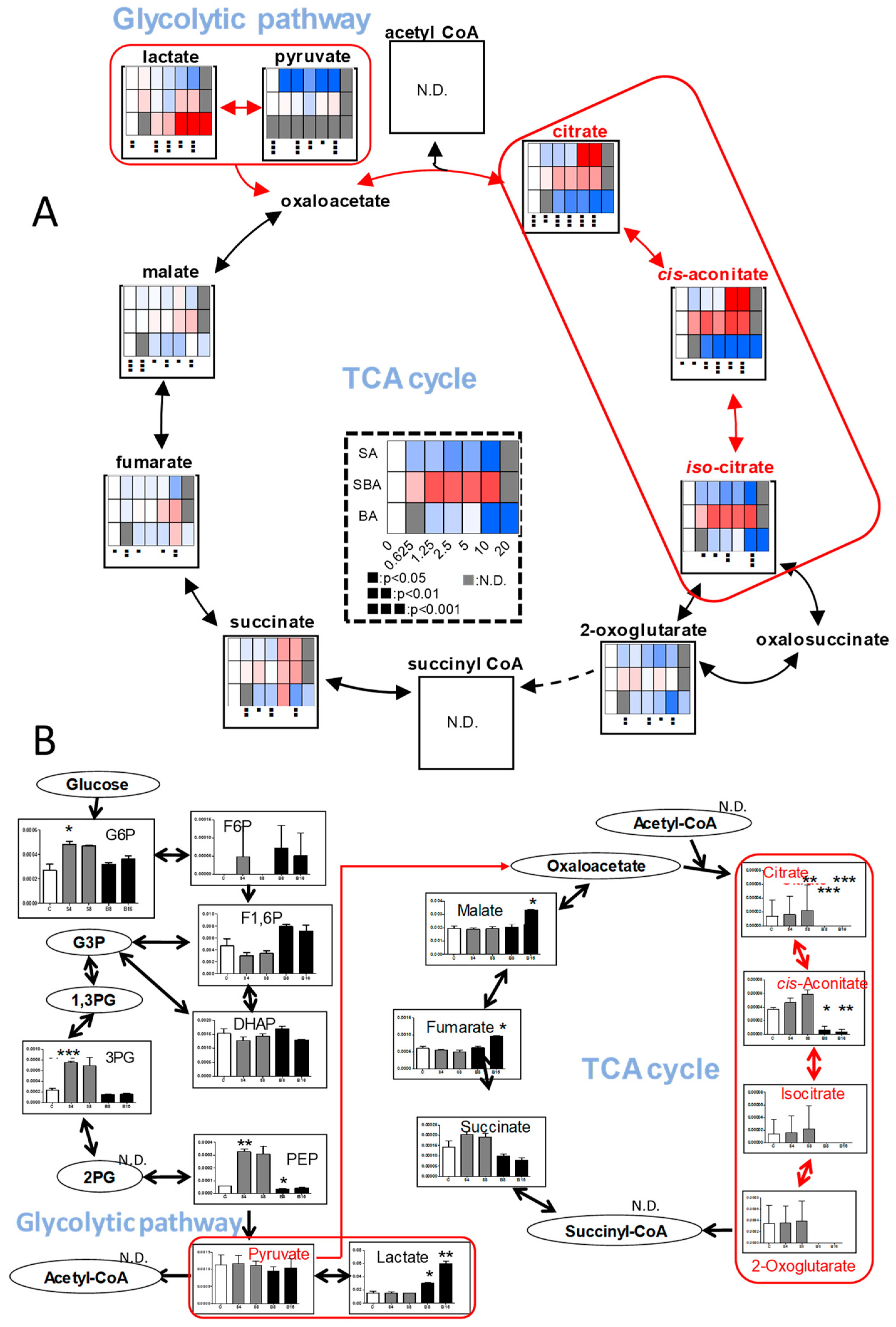 Medicines 05 00116 g005 Medicines 05 00116 g005